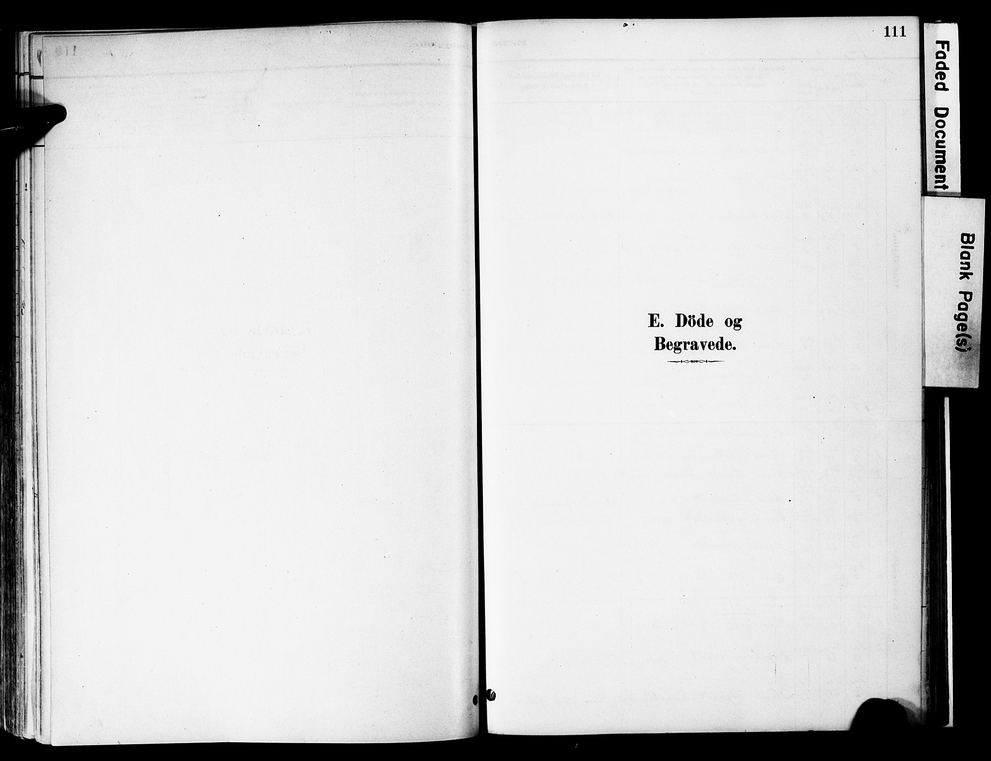 Vestre Slidre prestekontor, SAH/PREST-136/H/Ha/Haa/L0006: Parish register (official) no. 6, 1881-1912, p. 111