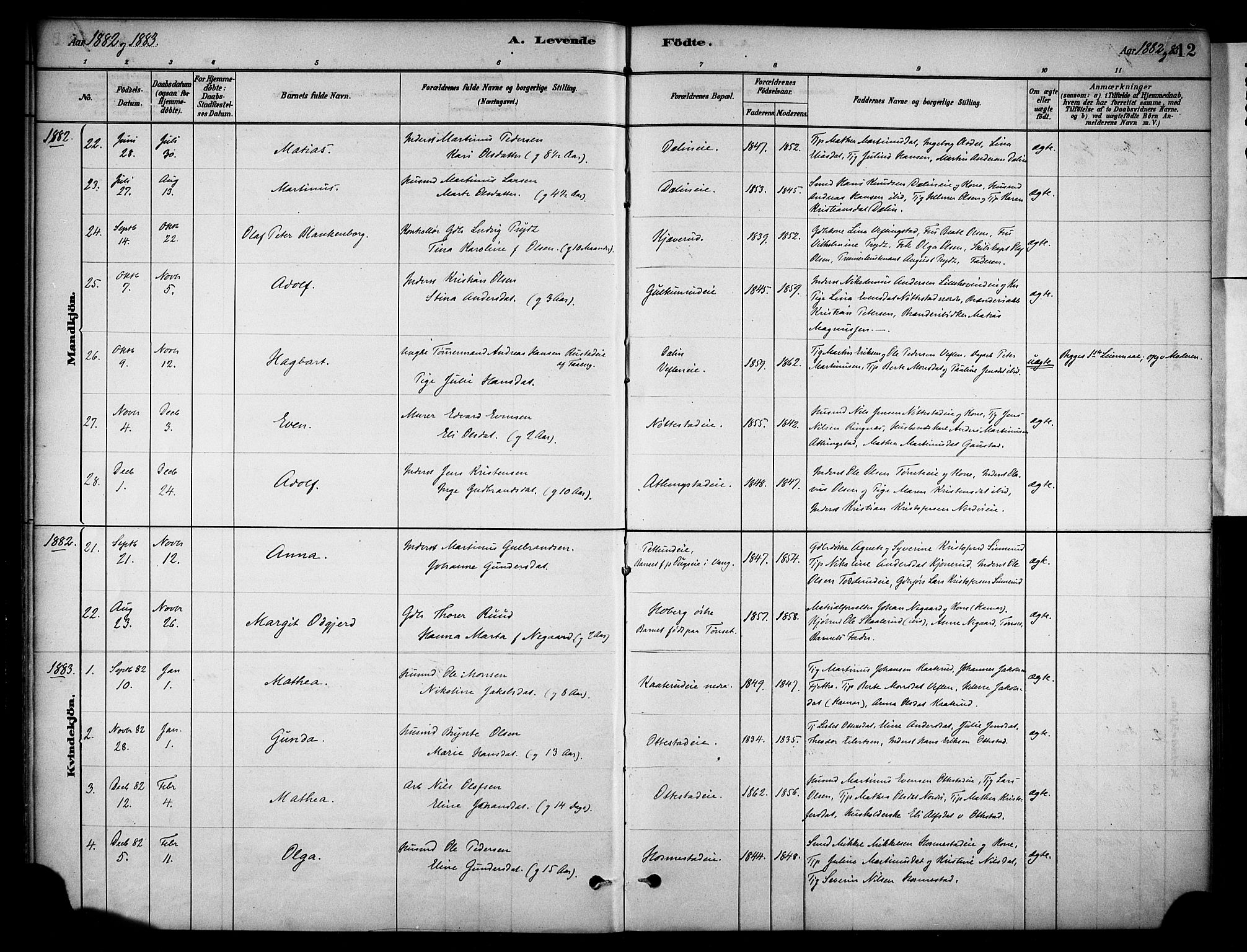 Stange prestekontor, SAH/PREST-002/K/L0019: Parish register (official) no. 19, 1880-1891, p. 12