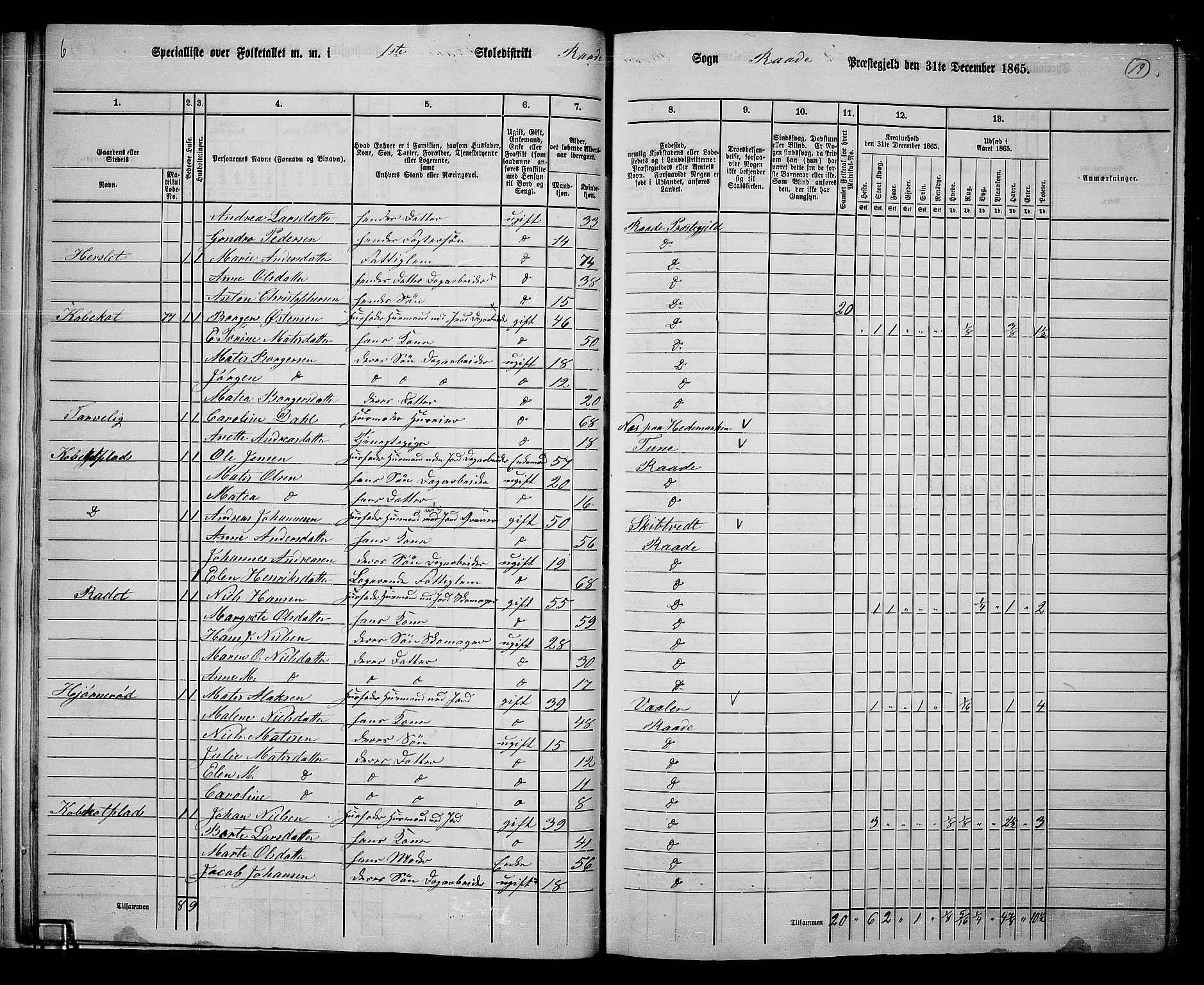 RA, 1865 census for Råde, 1865, p. 17