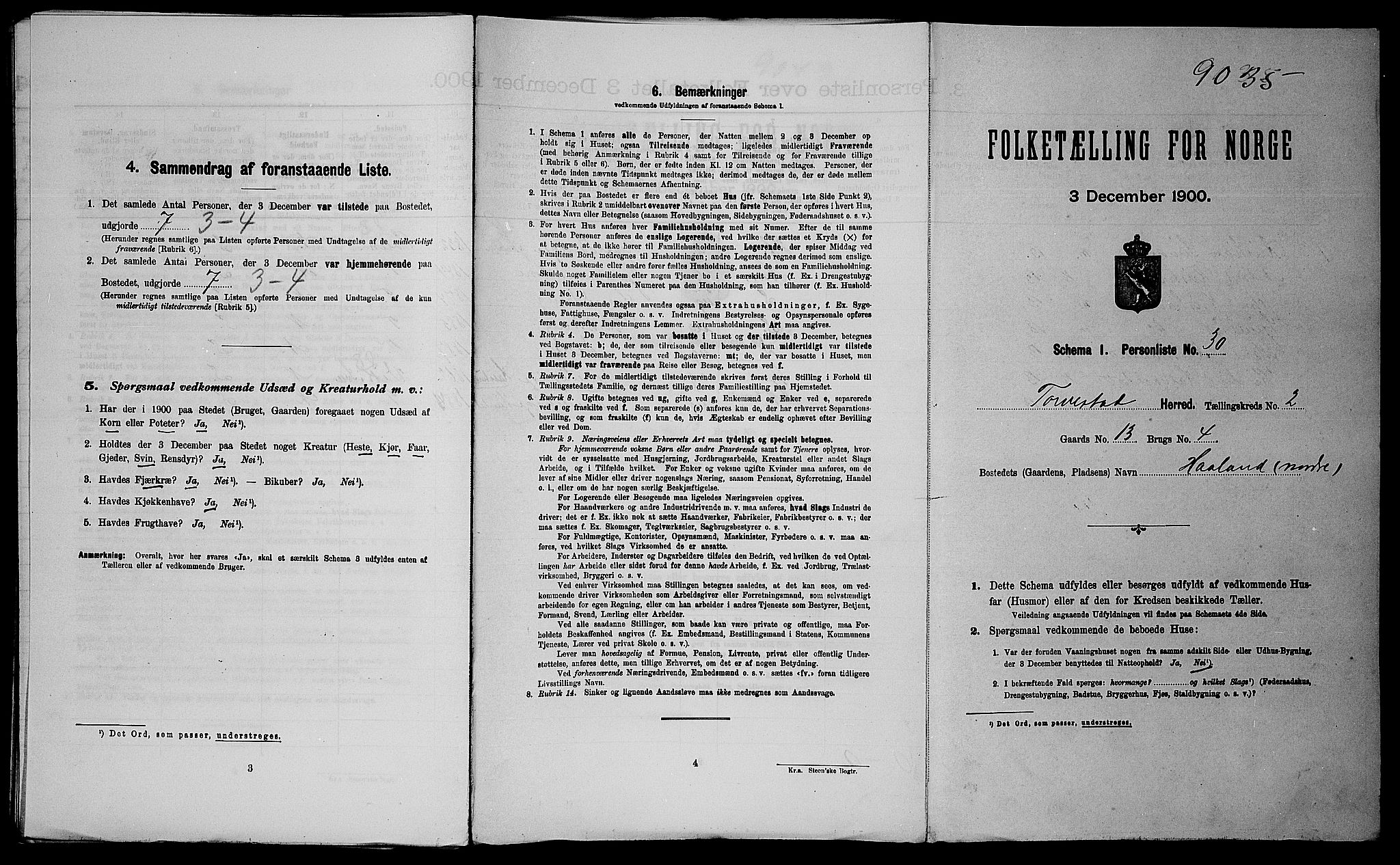 SAST, 1900 census for Torvastad, 1900, p. 302