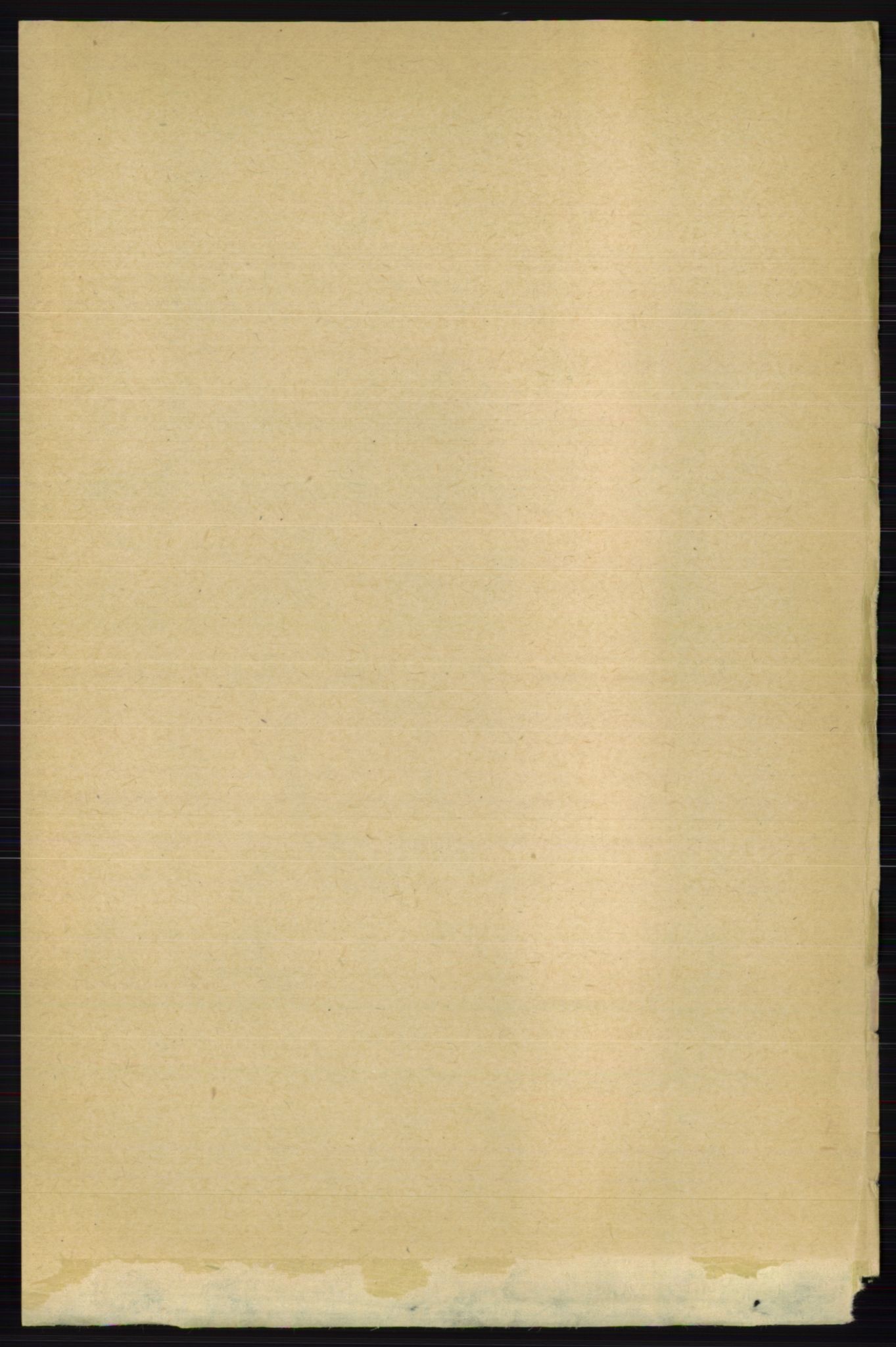 RA, 1891 census for 0236 Nes, 1891, p. 6349