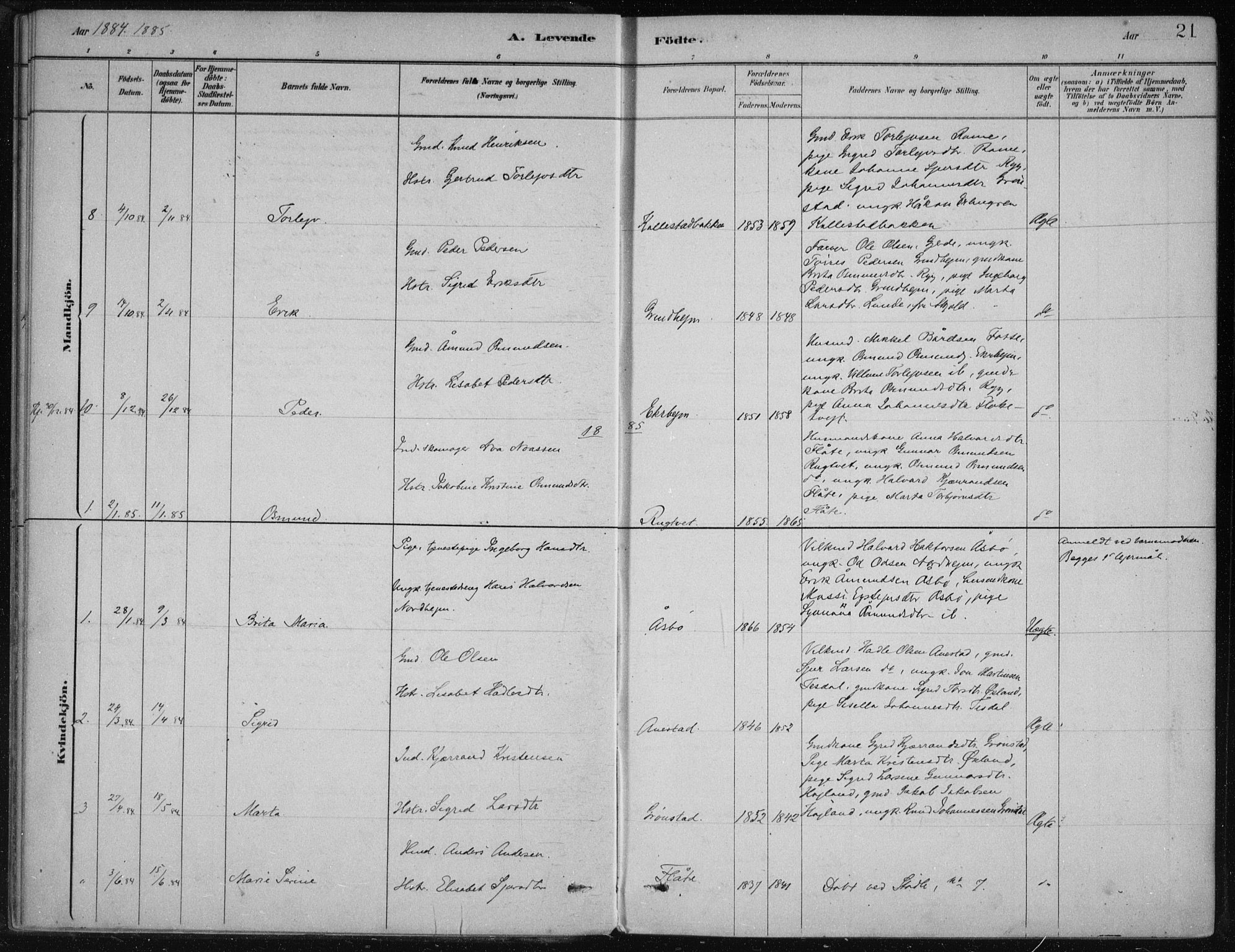 Etne sokneprestembete, AV/SAB-A-75001/H/Haa: Parish register (official) no. D  1, 1879-1919, p. 21