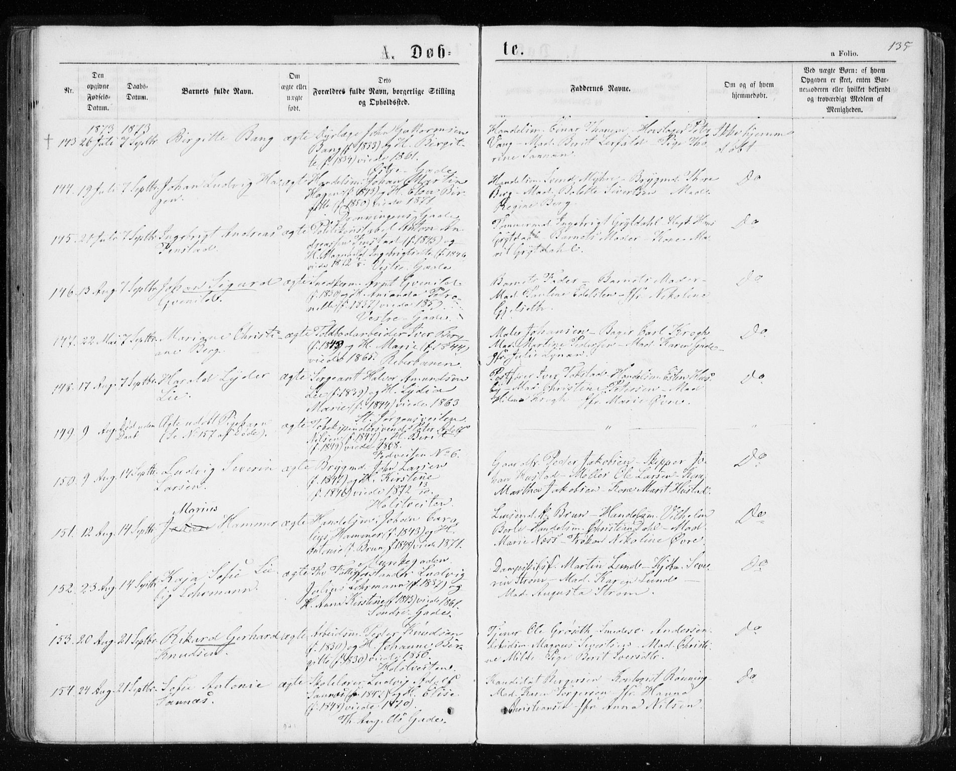 Ministerialprotokoller, klokkerbøker og fødselsregistre - Sør-Trøndelag, AV/SAT-A-1456/601/L0054: Parish register (official) no. 601A22, 1866-1877, p. 135