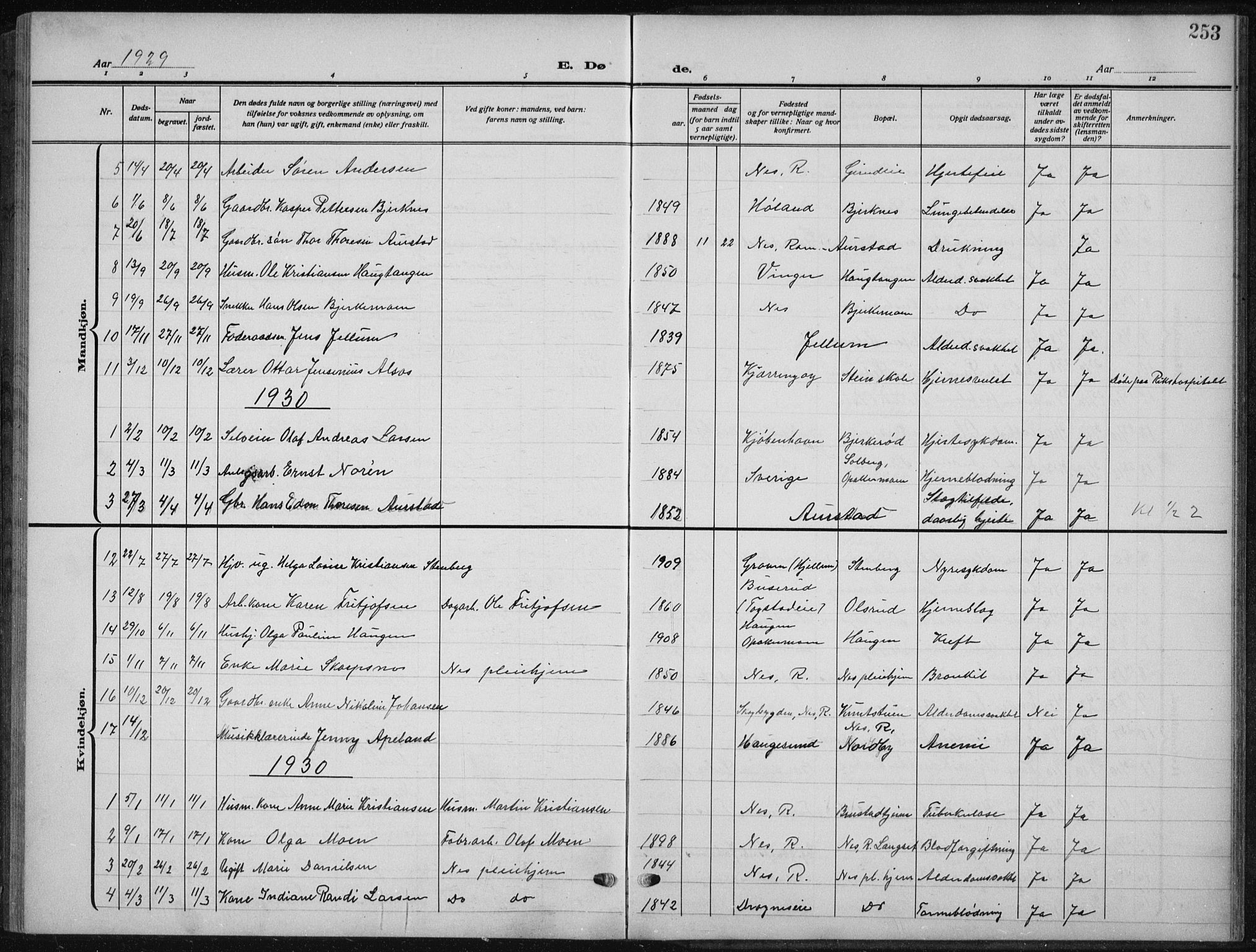 Nes prestekontor Kirkebøker, AV/SAO-A-10410/G/Ga/L0003: Parish register (copy) no. I 3, 1913-1941, p. 253