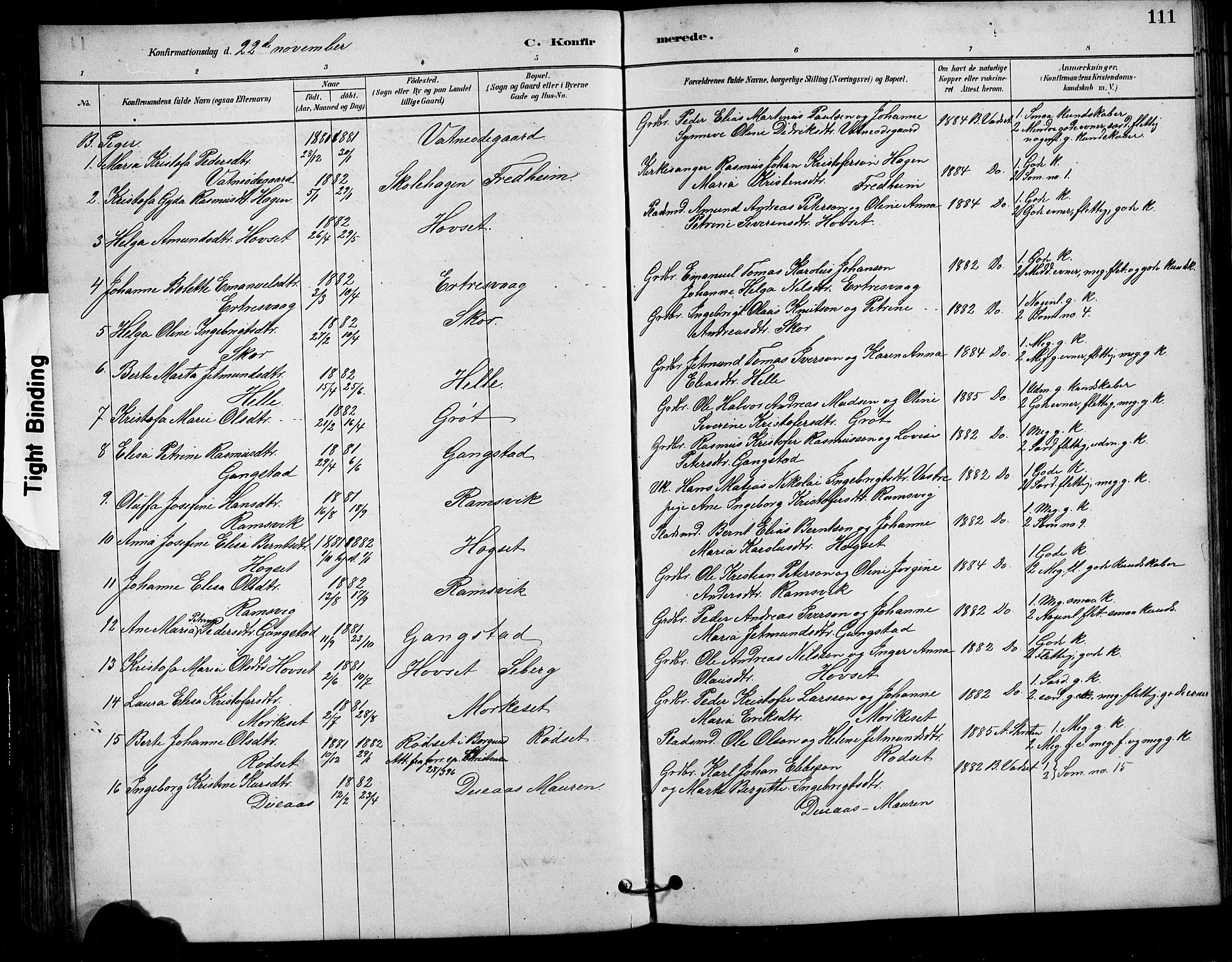 Ministerialprotokoller, klokkerbøker og fødselsregistre - Møre og Romsdal, AV/SAT-A-1454/525/L0376: Parish register (copy) no. 525C02, 1880-1902, p. 111