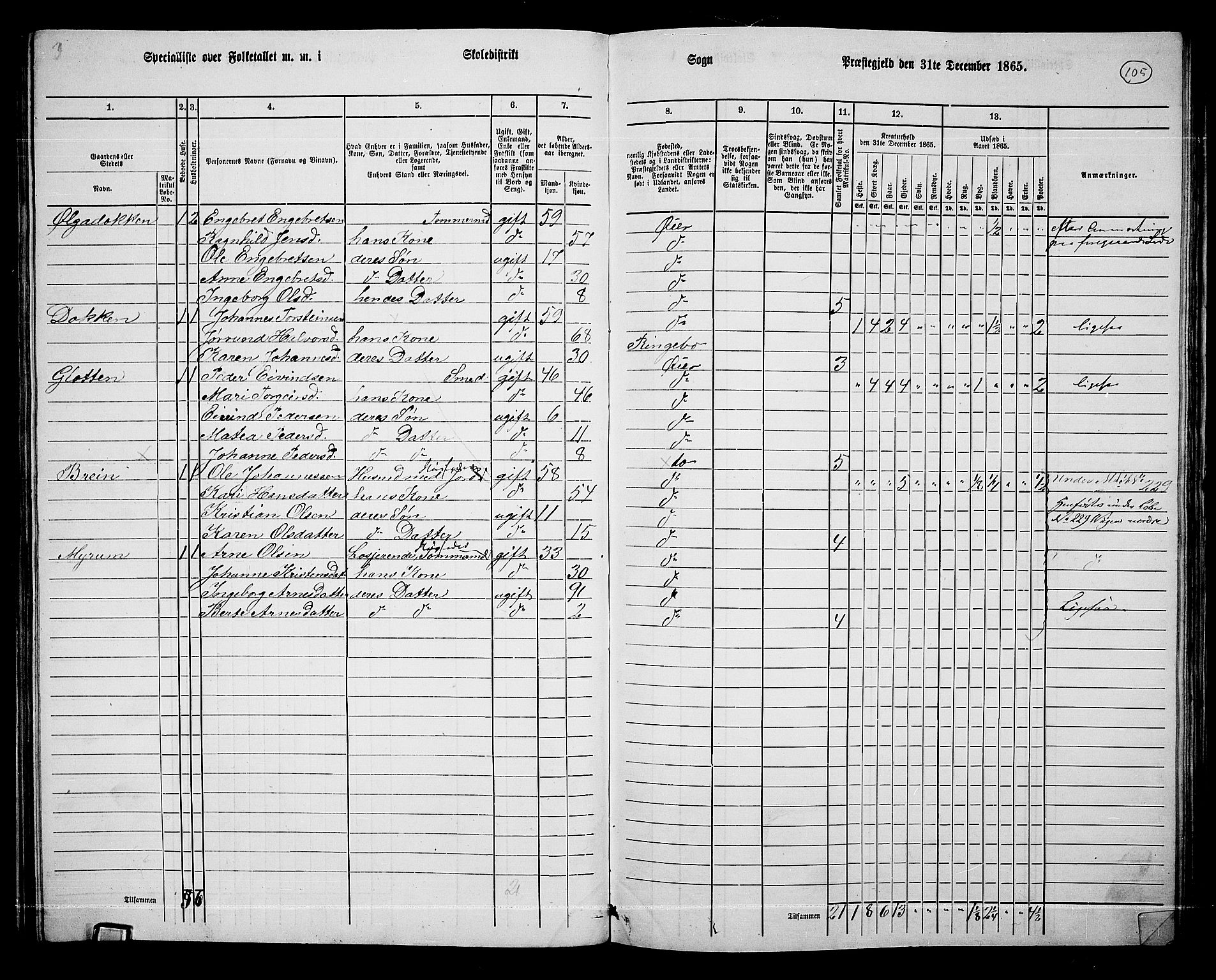 RA, 1865 census for Øyer, 1865, p. 96