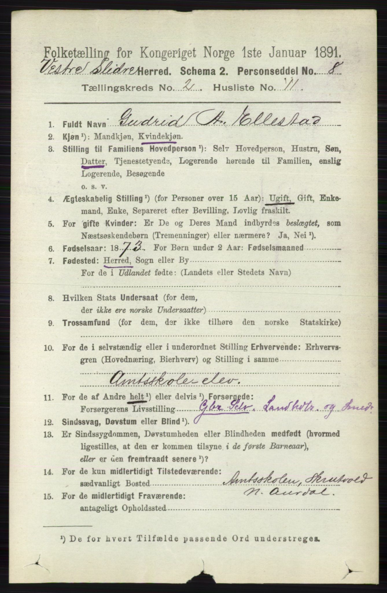 RA, 1891 census for 0543 Vestre Slidre, 1891, p. 592