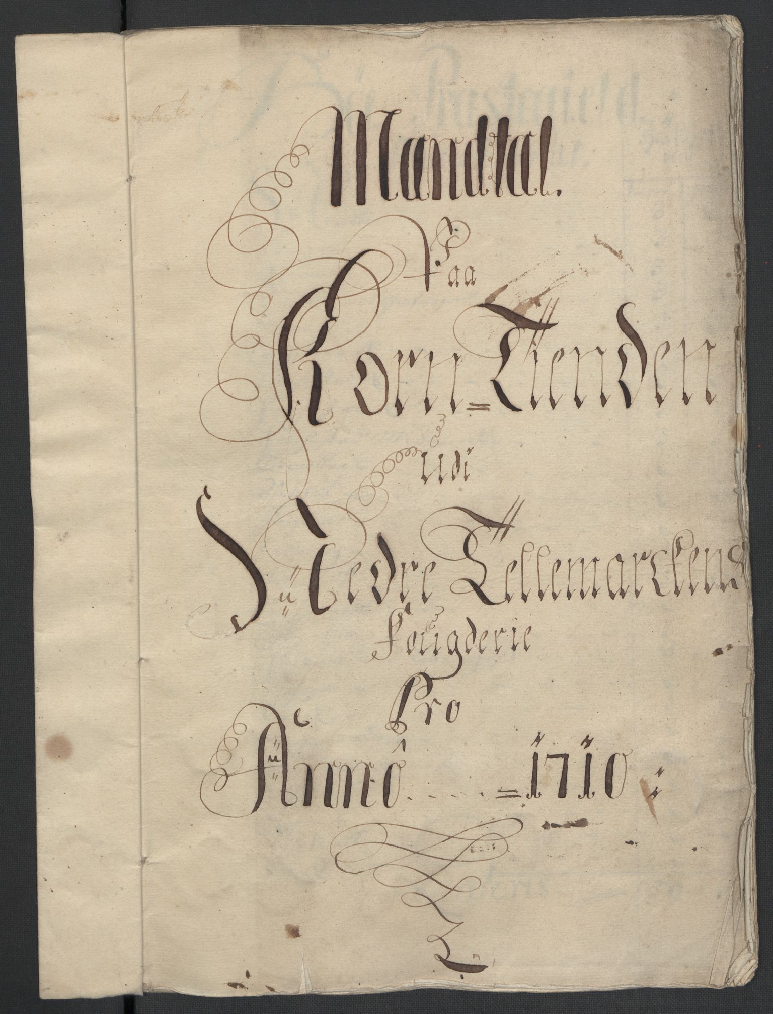 Rentekammeret inntil 1814, Reviderte regnskaper, Fogderegnskap, RA/EA-4092/R36/L2119: Fogderegnskap Øvre og Nedre Telemark og Bamble, 1710, p. 29
