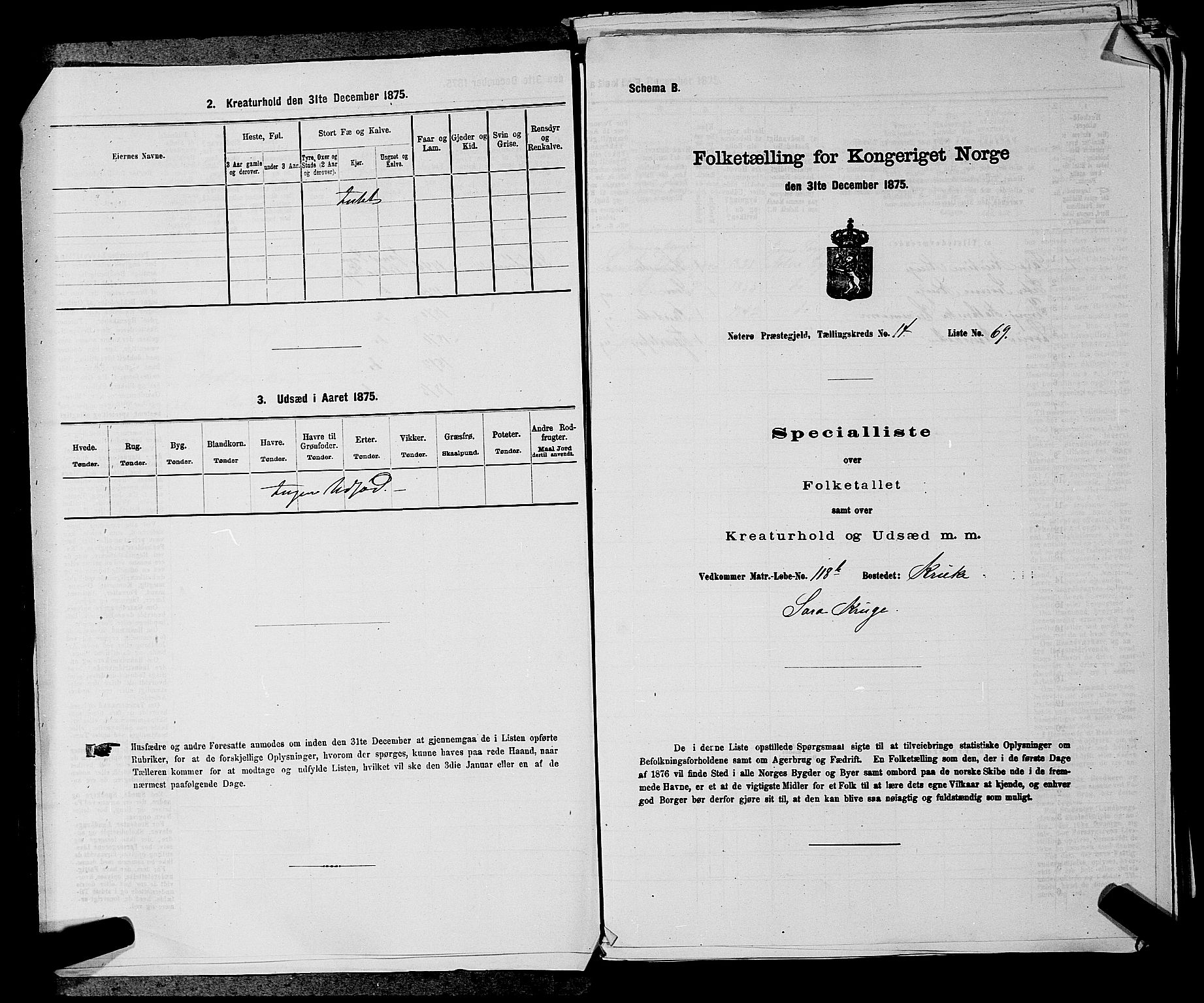 SAKO, 1875 census for 0722P Nøtterøy, 1875, p. 3036