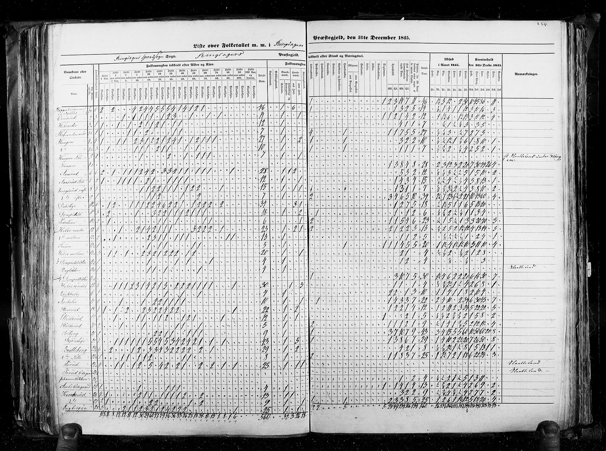 RA, Census 1845, vol. 3: Hedemarken amt og Kristians amt, 1845, p. 254