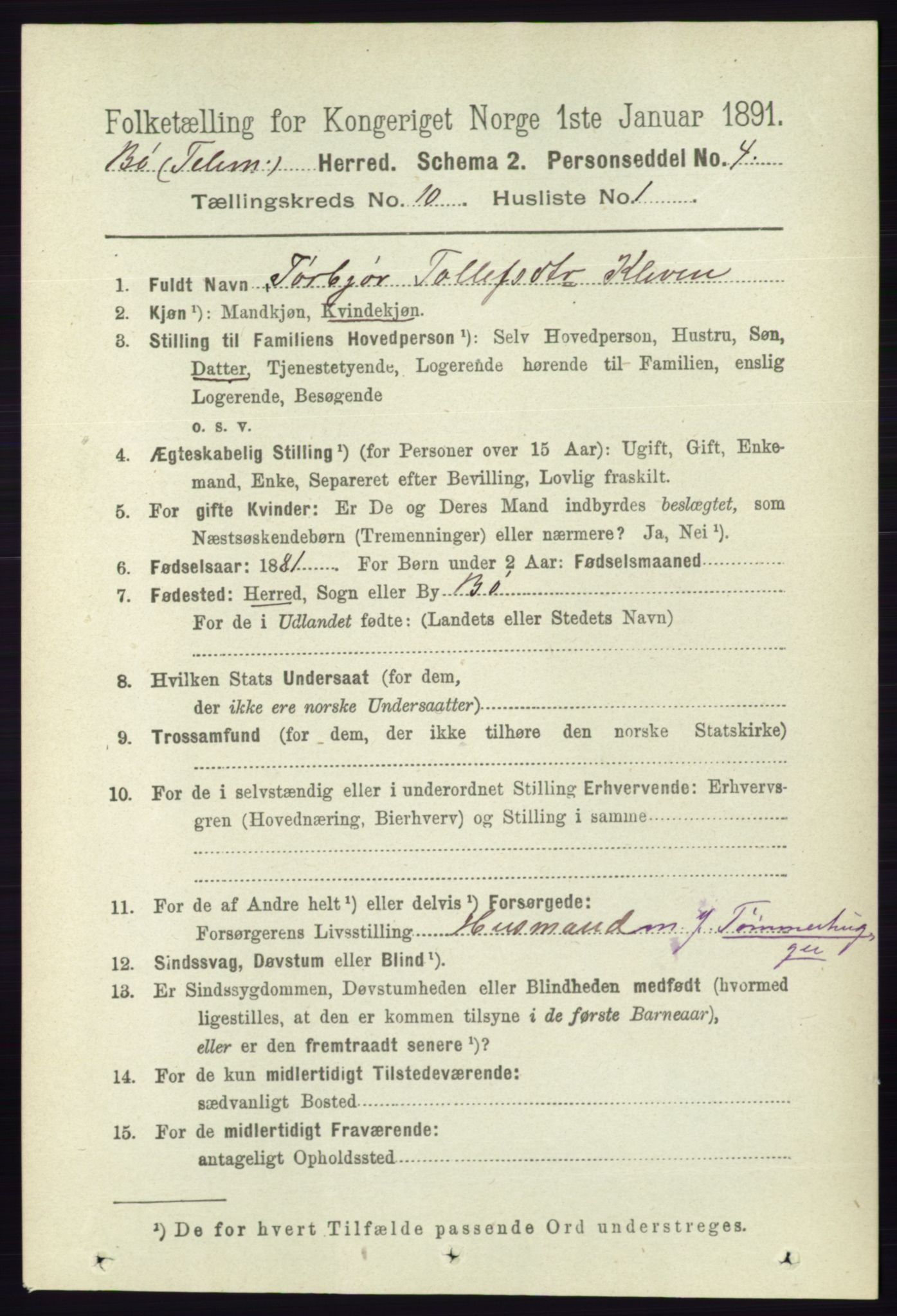 RA, 1891 census for 0821 Bø, 1891, p. 3189