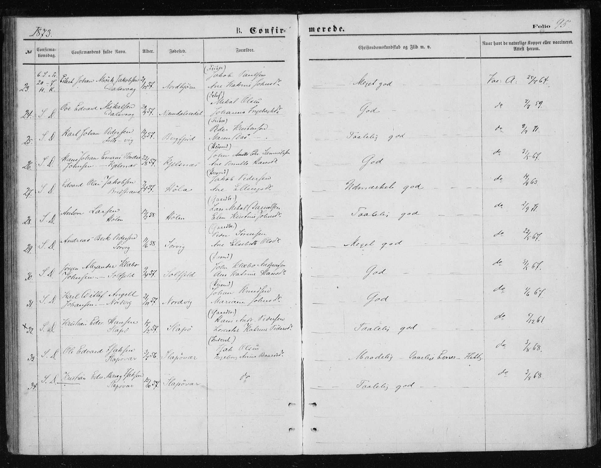 Ministerialprotokoller, klokkerbøker og fødselsregistre - Nordland, AV/SAT-A-1459/834/L0506: Parish register (official) no. 834A04, 1872-1878, p. 95