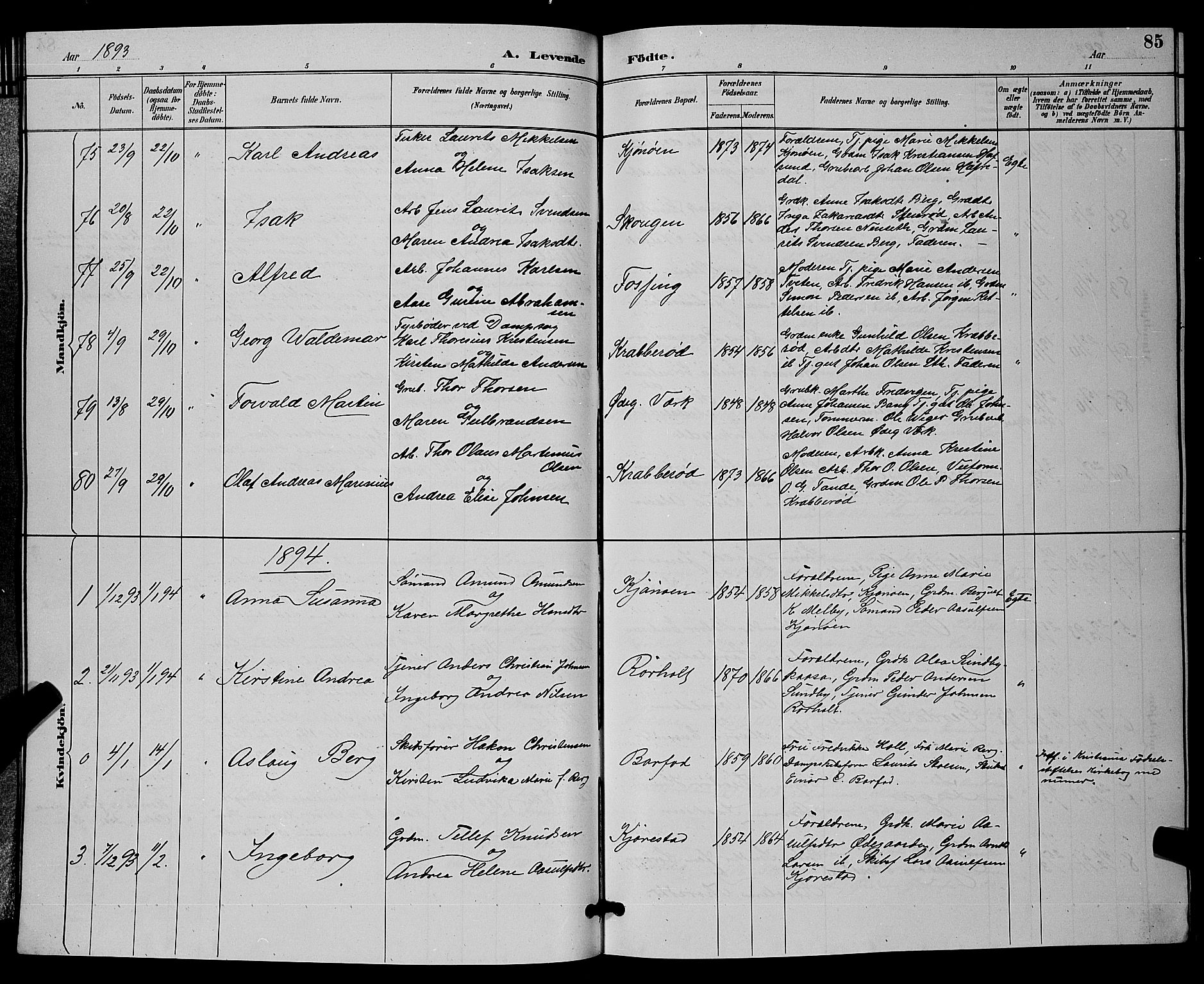 Bamble kirkebøker, SAKO/A-253/G/Ga/L0009: Parish register (copy) no. I 9, 1888-1900, p. 85