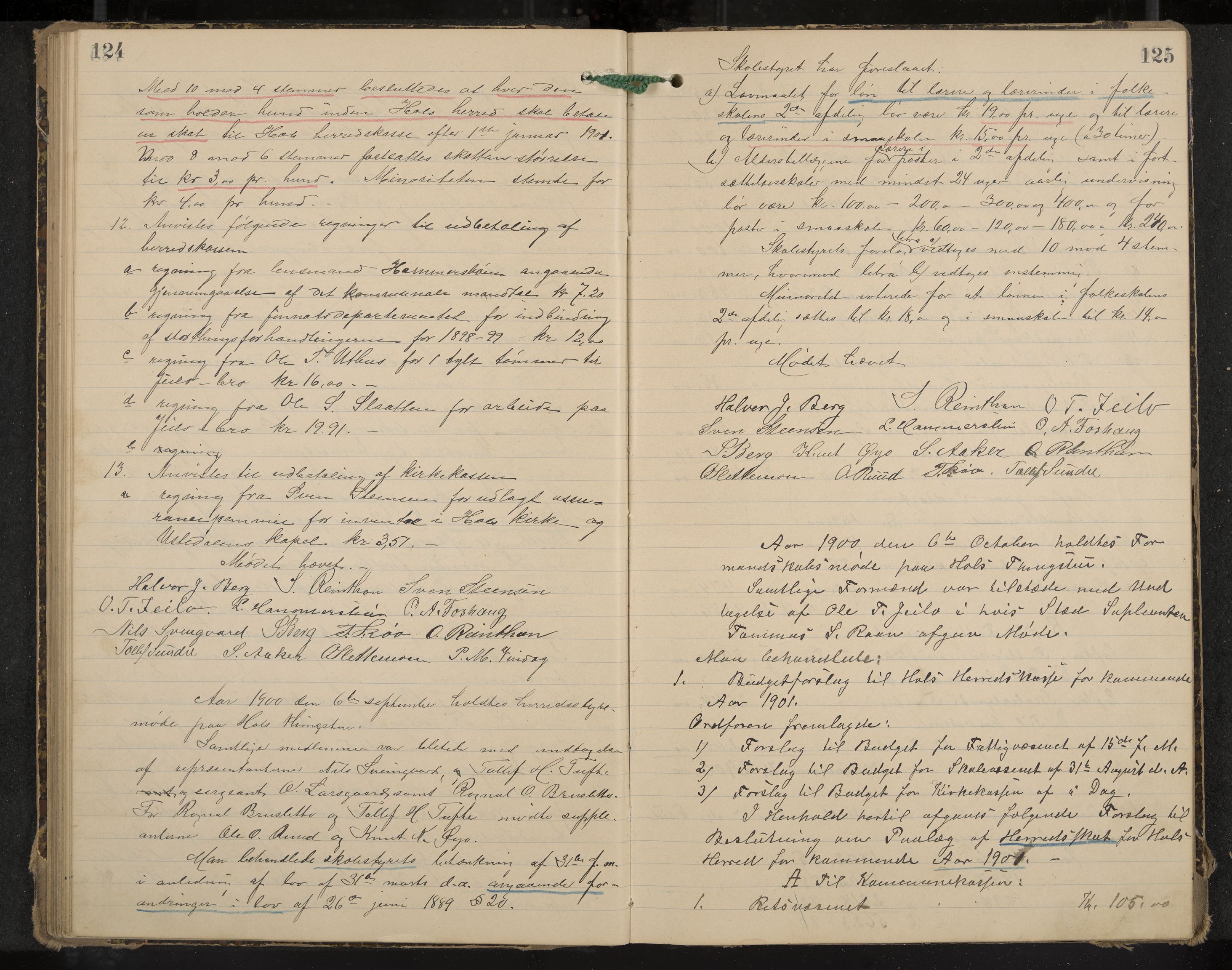 Hol formannskap og sentraladministrasjon, IKAK/0620021-1/A/L0003: Møtebok, 1897-1904, p. 124-125