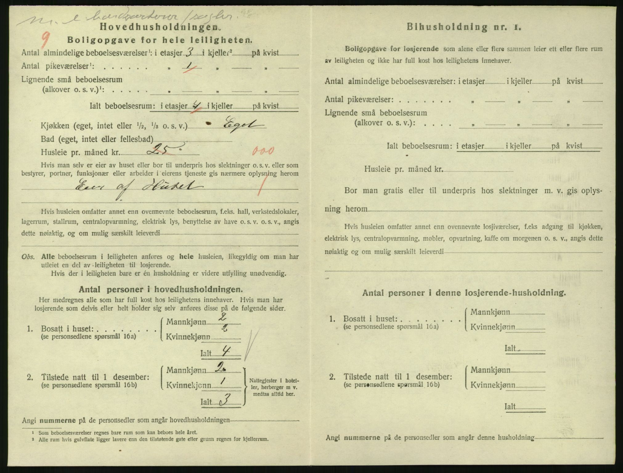 SAKO, 1920 census for Larvik, 1920, p. 3395