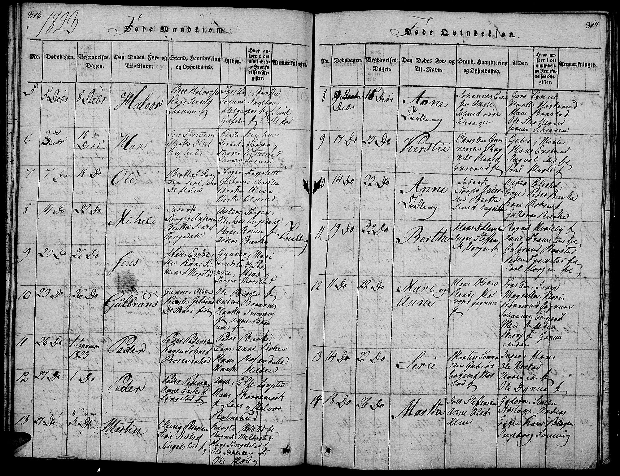 Gran prestekontor, SAH/PREST-112/H/Ha/Hab/L0001: Parish register (copy) no. 1, 1815-1824, p. 316-317