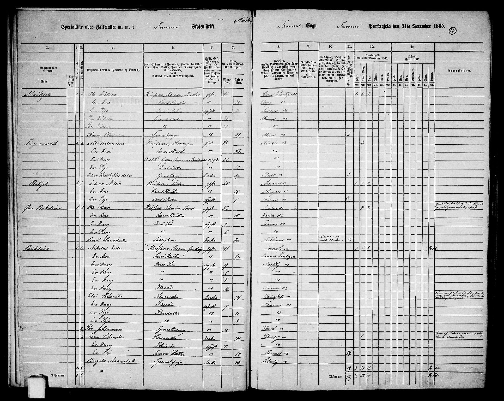 RA, 1865 census for Tana, 1865, p. 13