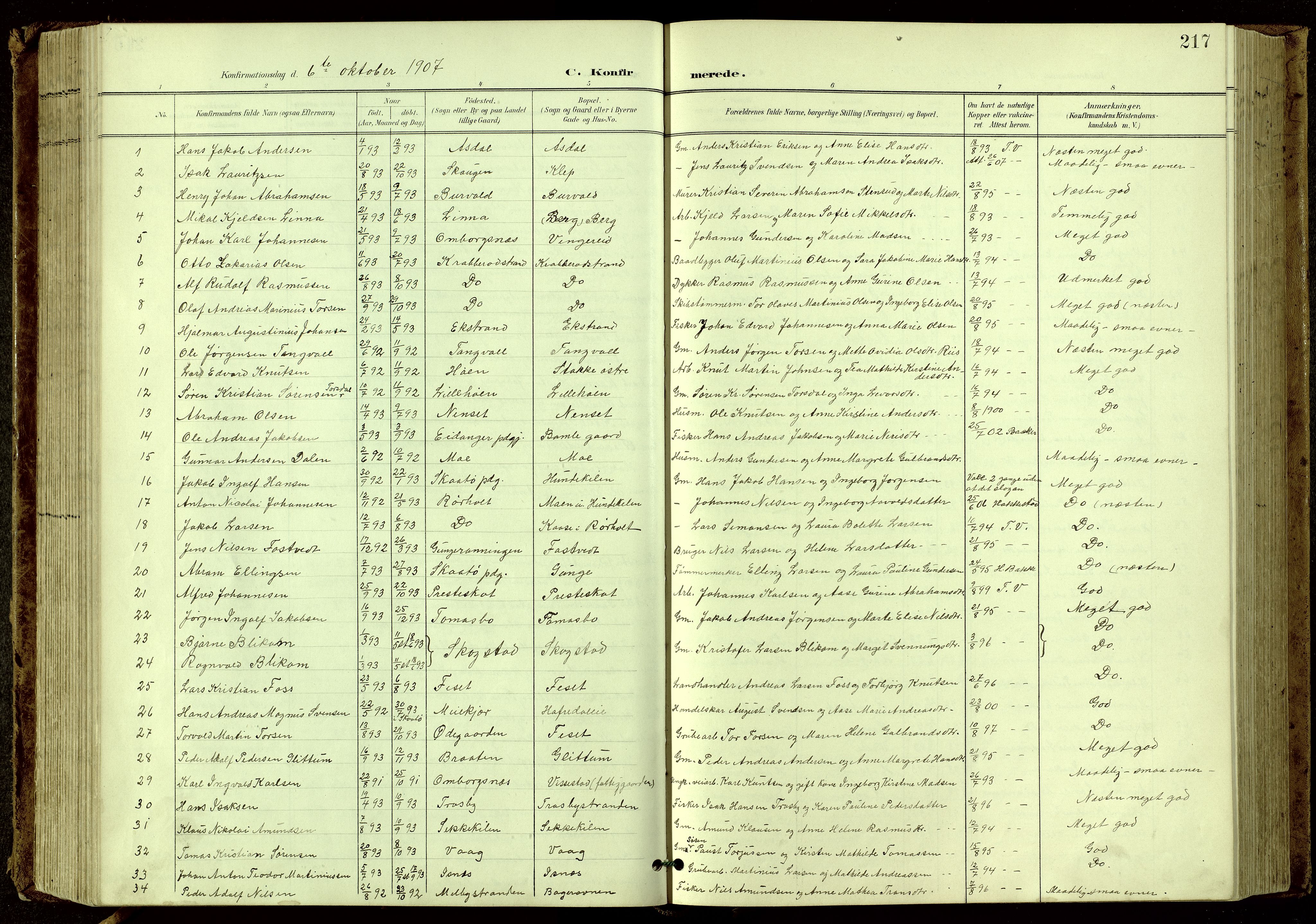 Bamble kirkebøker, SAKO/A-253/G/Ga/L0010: Parish register (copy) no. I 10, 1901-1919, p. 217