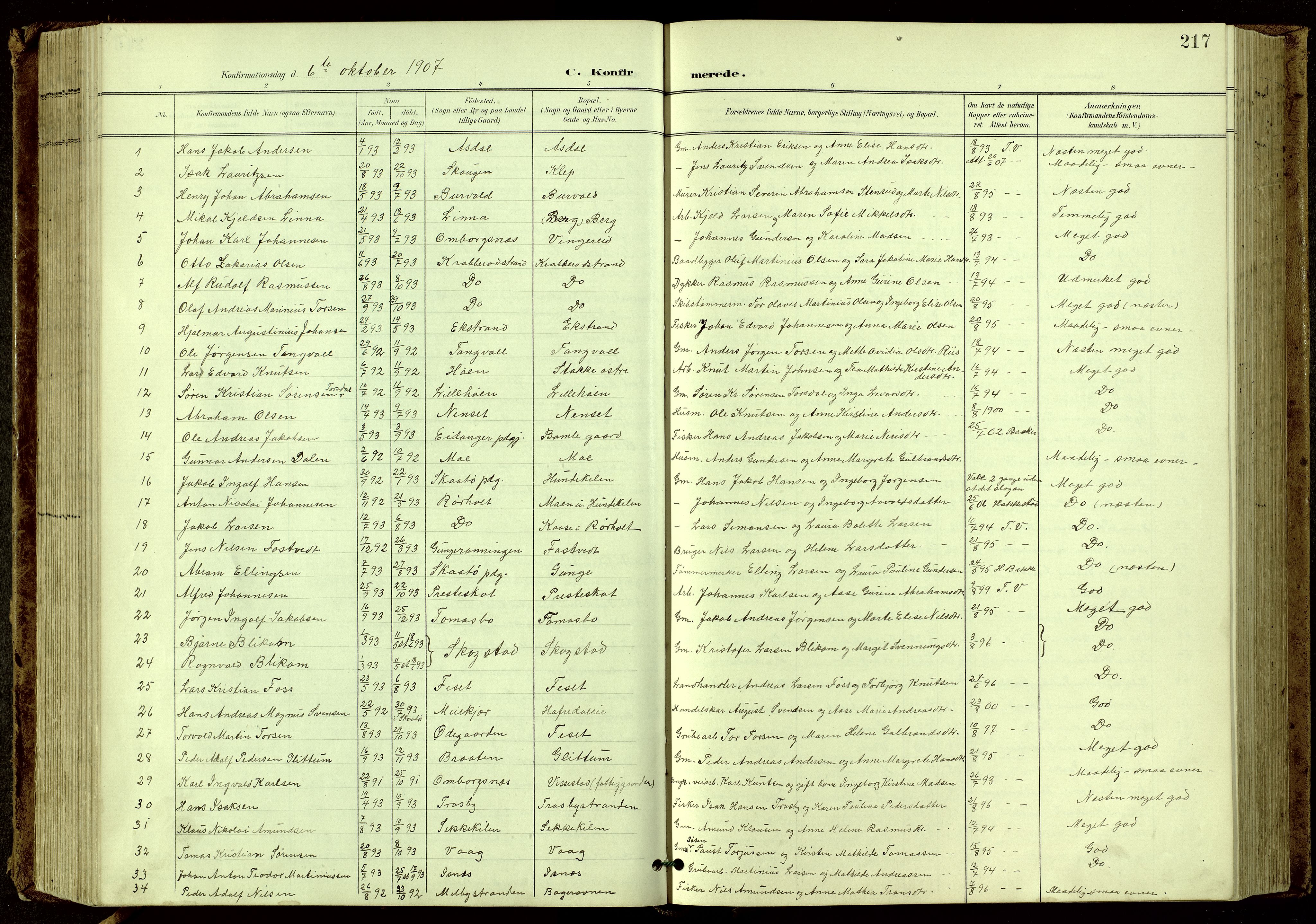 Bamble kirkebøker, AV/SAKO-A-253/G/Ga/L0010: Parish register (copy) no. I 10, 1901-1919, p. 217