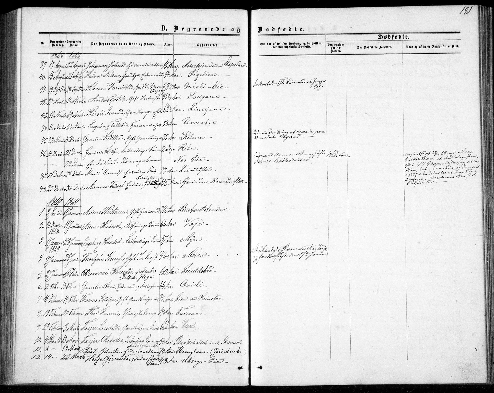 Gjerstad sokneprestkontor, AV/SAK-1111-0014/F/Fb/Fbb/L0003: Parish register (copy) no. B 3, 1862-1889, p. 181