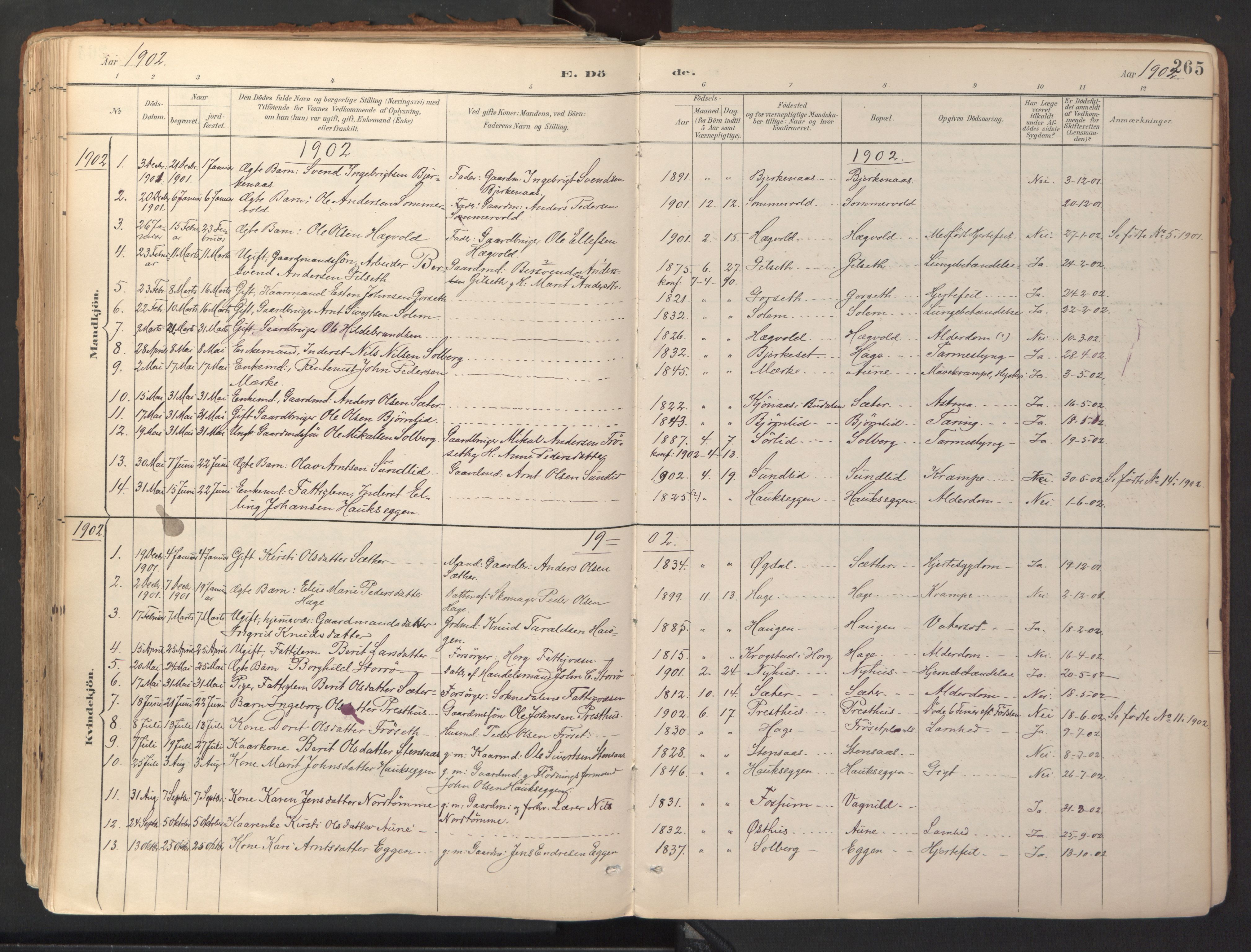 Ministerialprotokoller, klokkerbøker og fødselsregistre - Sør-Trøndelag, SAT/A-1456/689/L1041: Parish register (official) no. 689A06, 1891-1923, p. 265