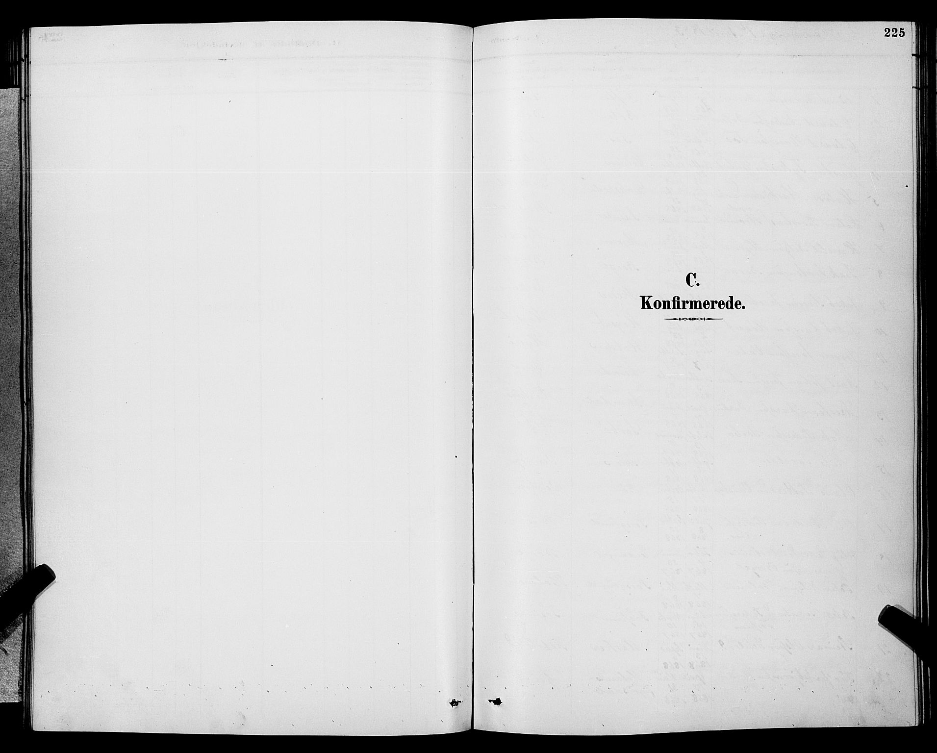 Gjerpen kirkebøker, SAKO/A-265/G/Ga/L0002: Parish register (copy) no. I 2, 1883-1900, p. 225