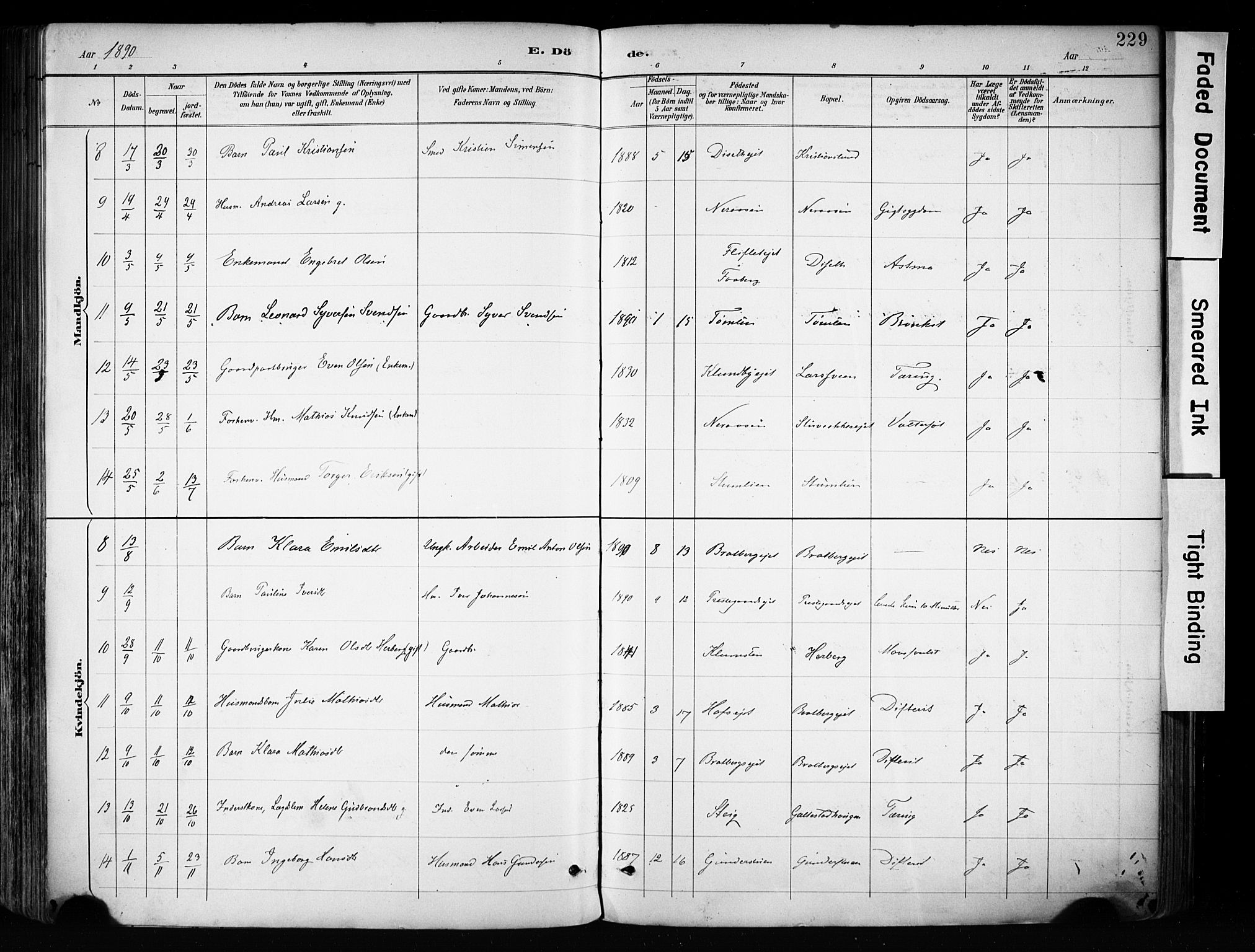 Biri prestekontor, AV/SAH-PREST-096/H/Ha/Haa/L0009: Parish register (official) no. 9, 1887-1900, p. 229