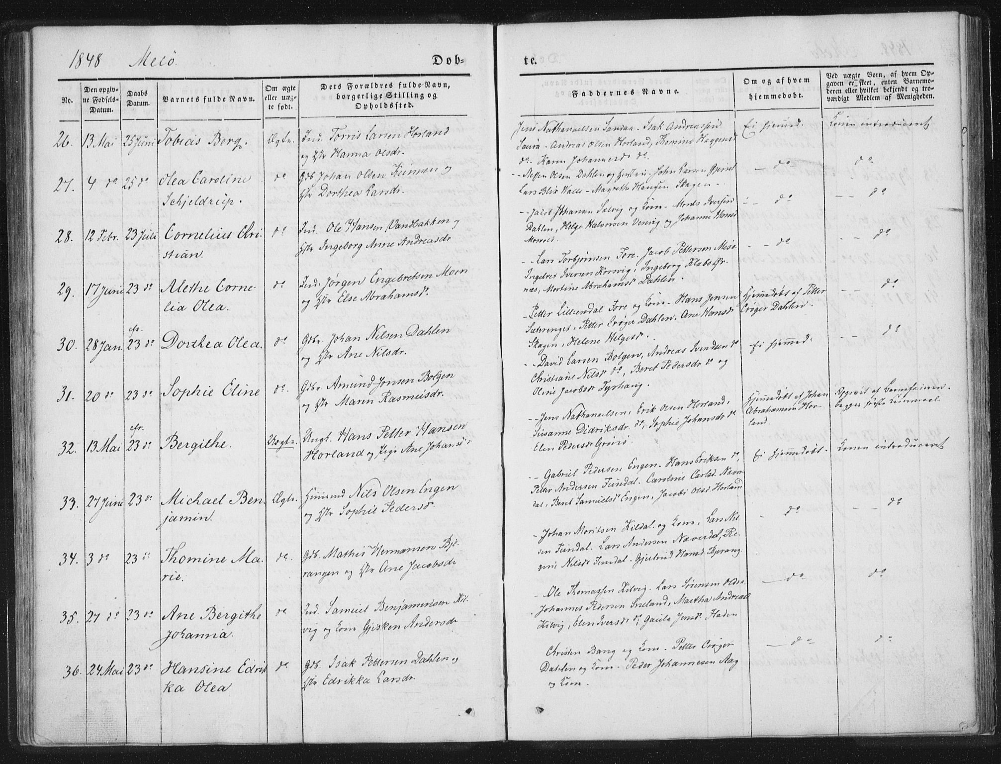 Ministerialprotokoller, klokkerbøker og fødselsregistre - Nordland, AV/SAT-A-1459/841/L0602: Parish register (official) no. 841A08 /2, 1845-1859, p. 71