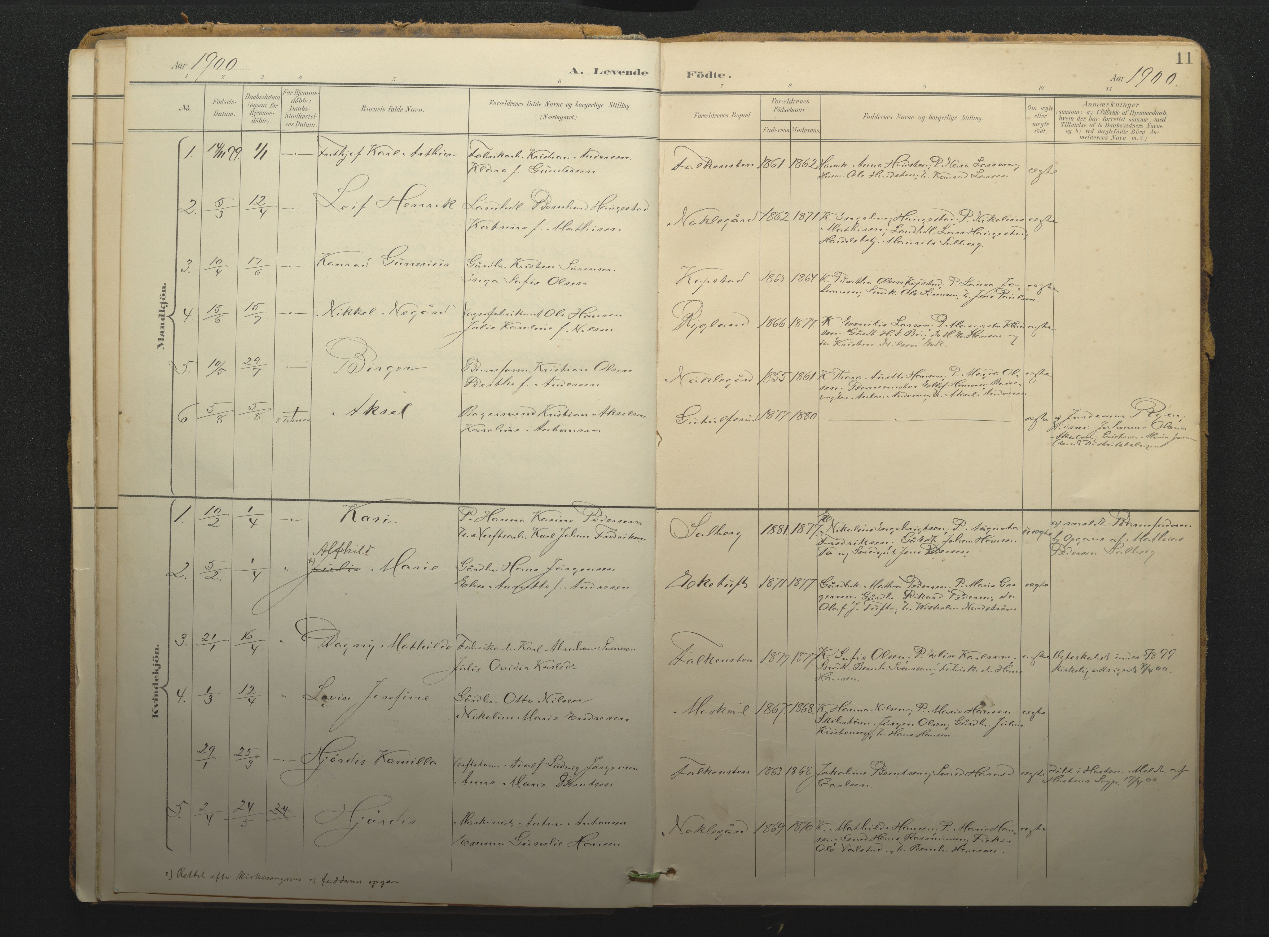 Borre kirkebøker, SAKO/A-338/F/Fc/L0003: Parish register (official) no. III 3, 1896-1919, p. 11