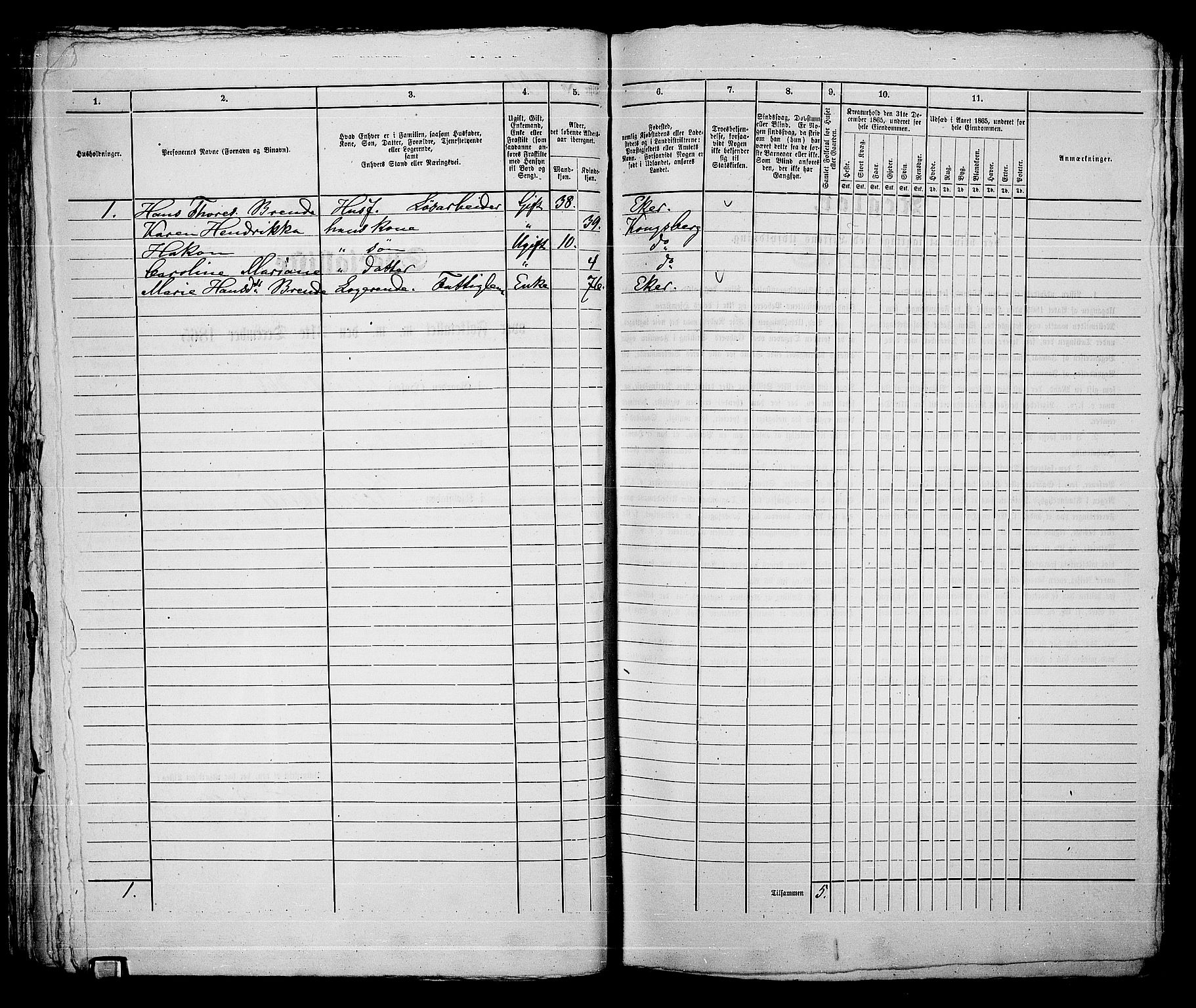 RA, 1865 census for Kongsberg/Kongsberg, 1865, p. 678