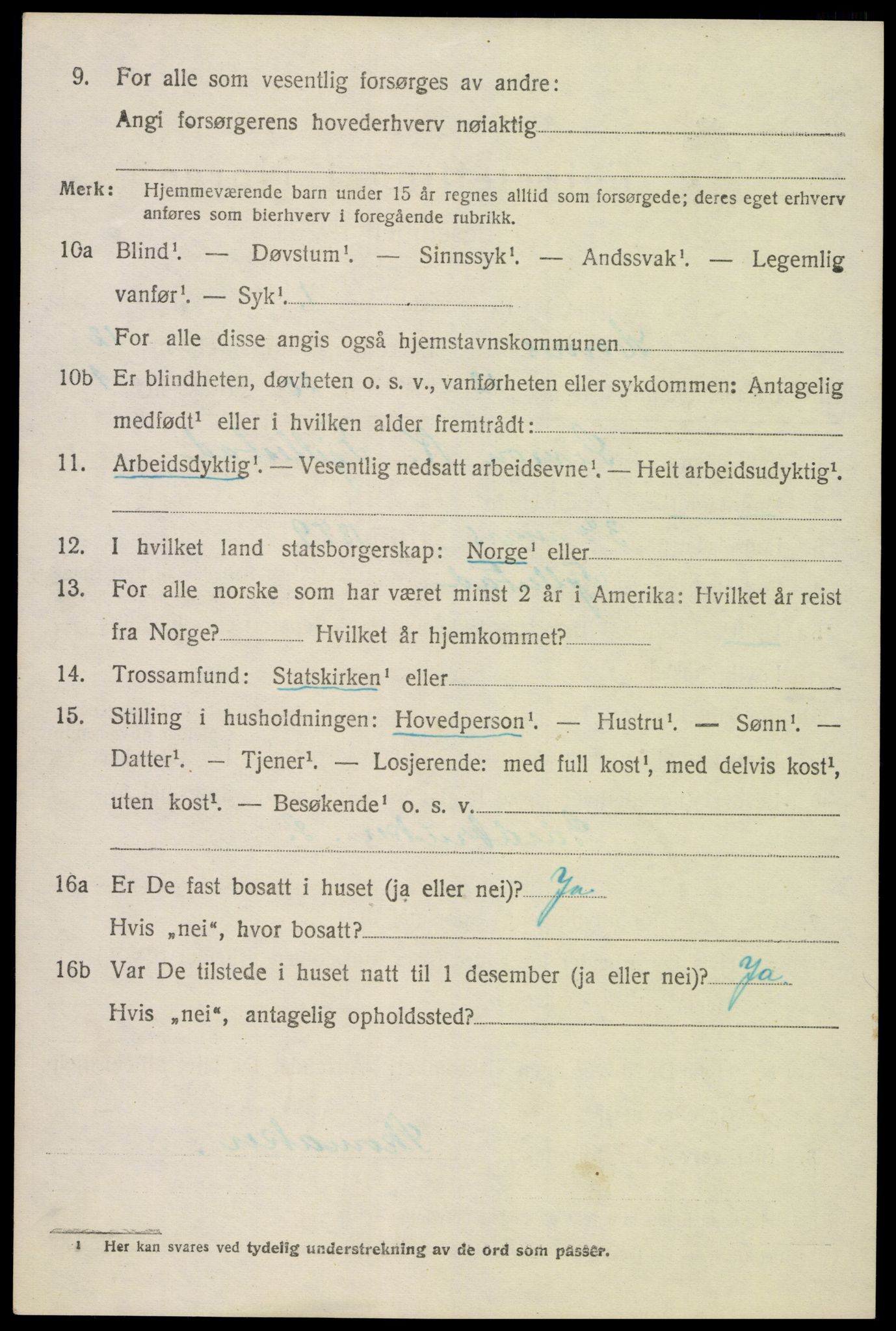 SAK, 1920 census for Hornnes, 1920, p. 3016