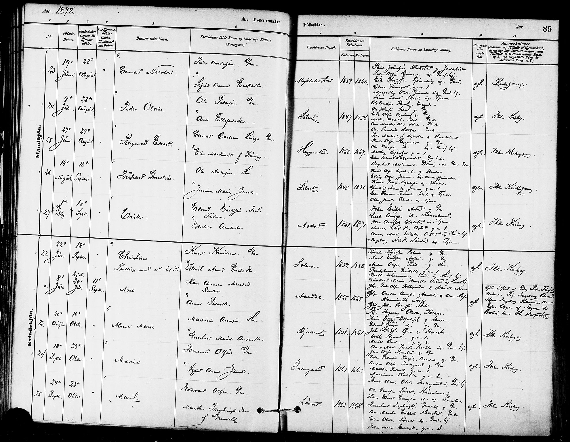 Ministerialprotokoller, klokkerbøker og fødselsregistre - Møre og Romsdal, AV/SAT-A-1454/584/L0967: Parish register (official) no. 584A07, 1879-1894, p. 85