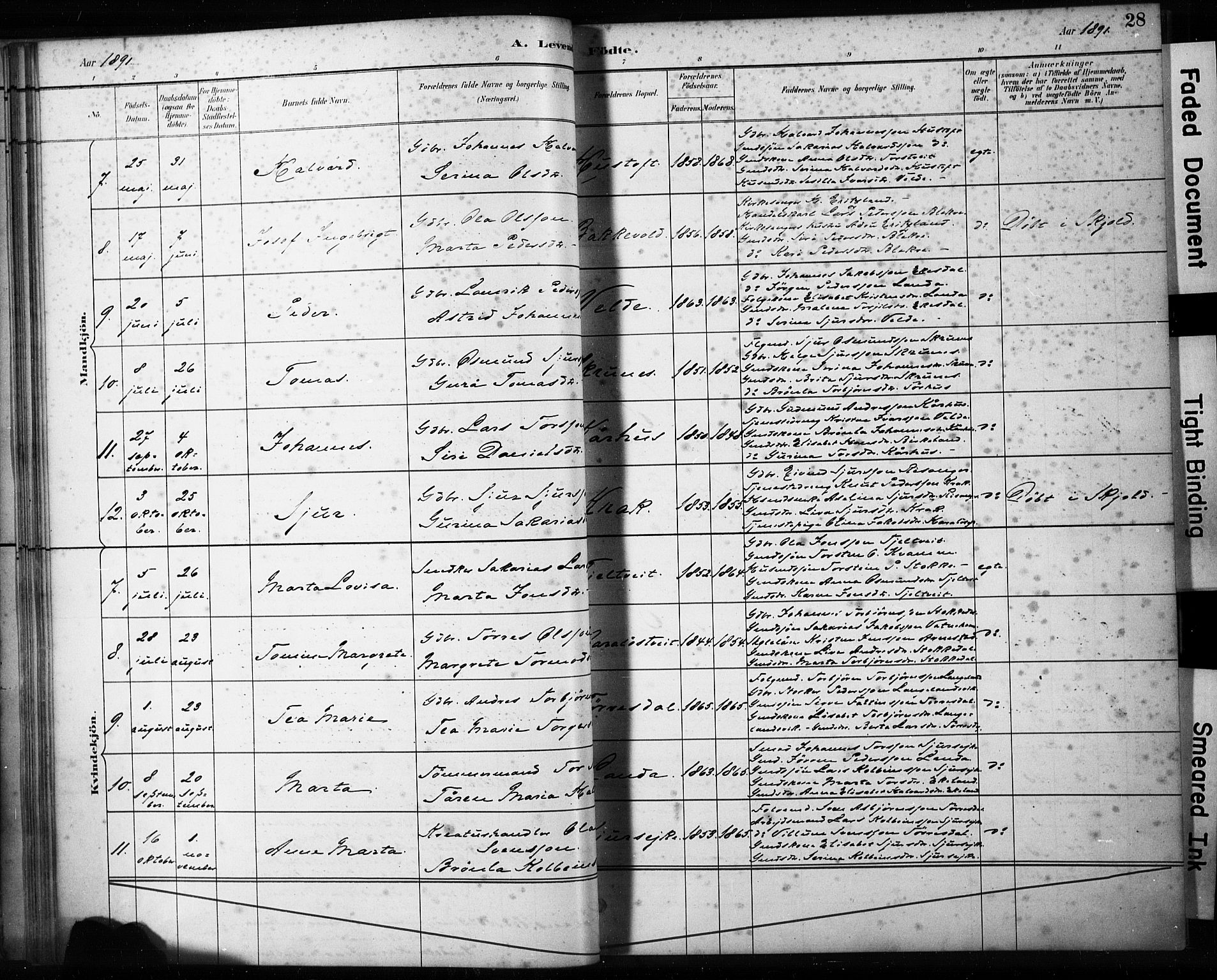 Skjold sokneprestkontor, AV/SAST-A-101847/H/Ha/Haa/L0009: Parish register (official) no. A 9, 1882-1898, p. 28