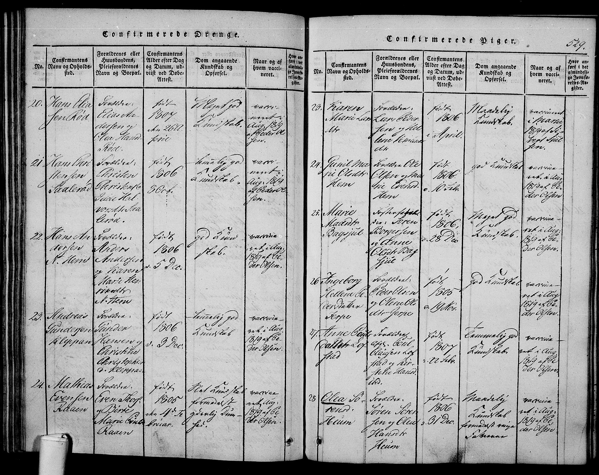 Våle kirkebøker, AV/SAKO-A-334/F/Fa/L0007: Parish register (official) no. I 7, 1814-1824, p. 528-529