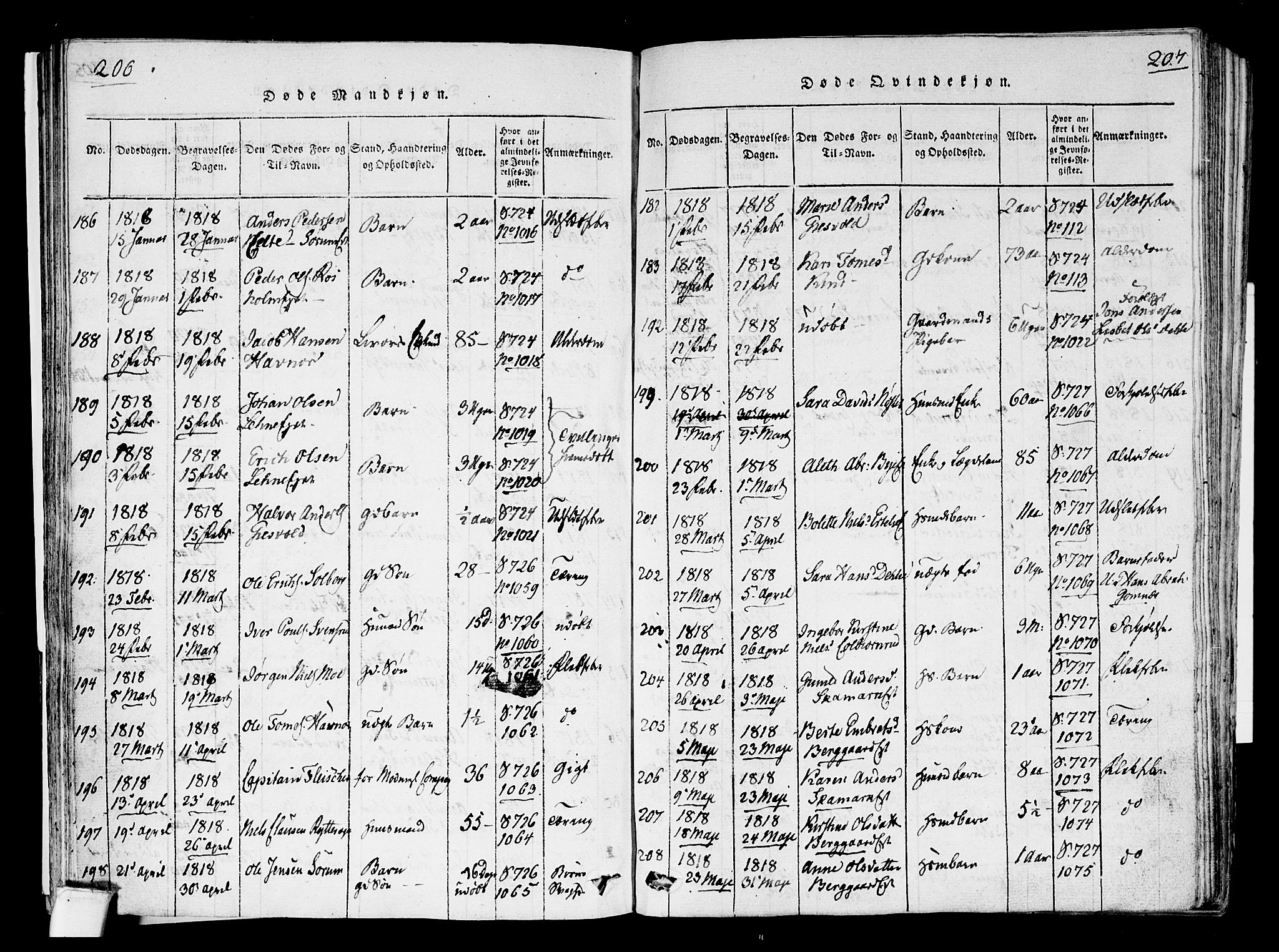 Hole kirkebøker, SAKO/A-228/F/Fa/L0004: Parish register (official) no. I 4, 1814-1833, p. 206-207
