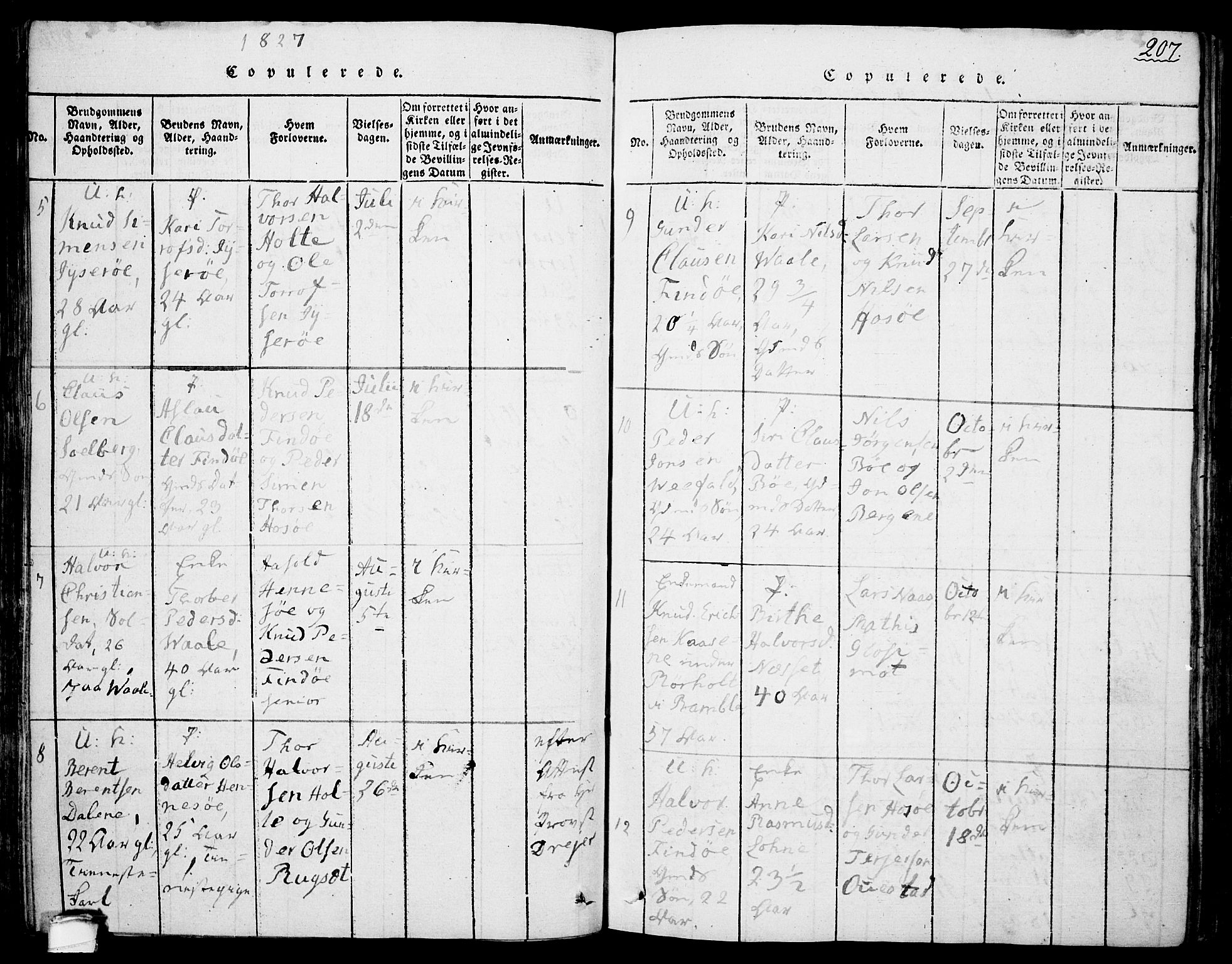 Drangedal kirkebøker, SAKO/A-258/F/Fa/L0005: Parish register (official) no. 5 /1, 1814-1831, p. 207