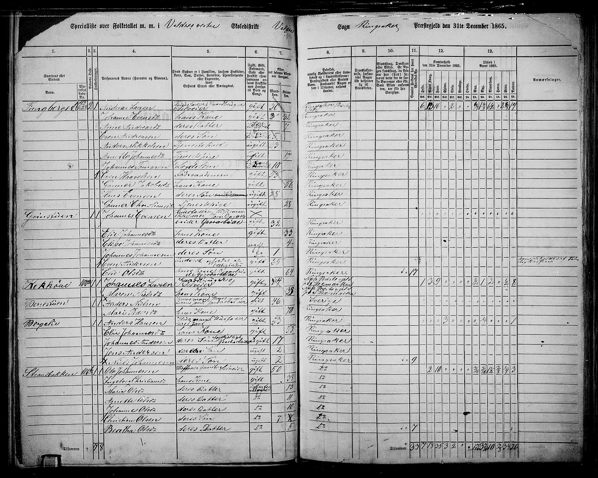 RA, 1865 census for Ringsaker, 1865, p. 153