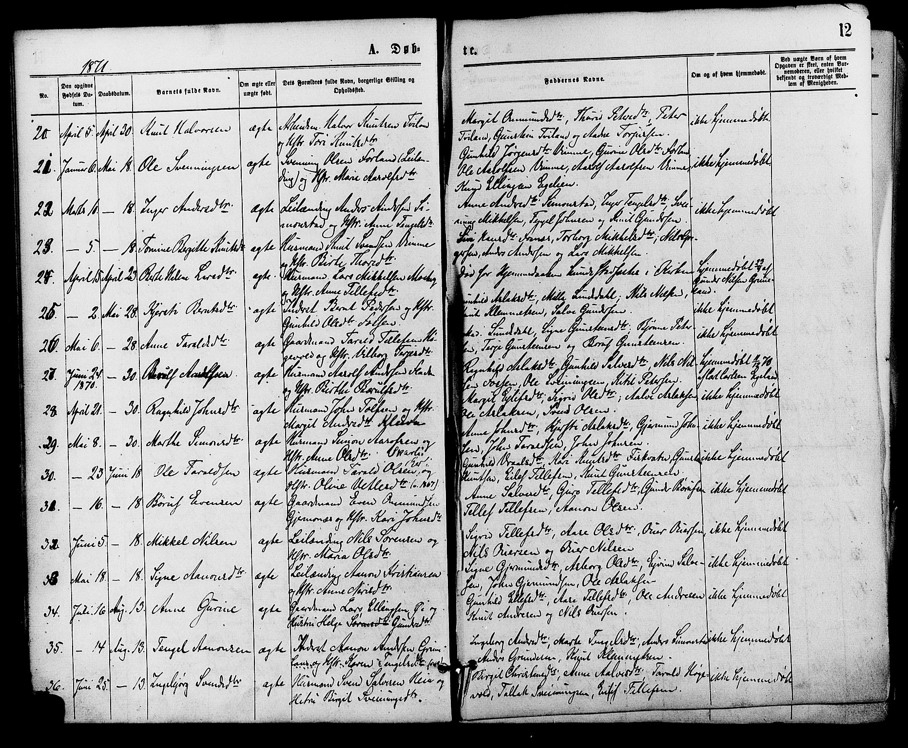 Åmli sokneprestkontor, AV/SAK-1111-0050/F/Fa/Fac/L0009: Parish register (official) no. A 9 /1, 1869-1884, p. 12
