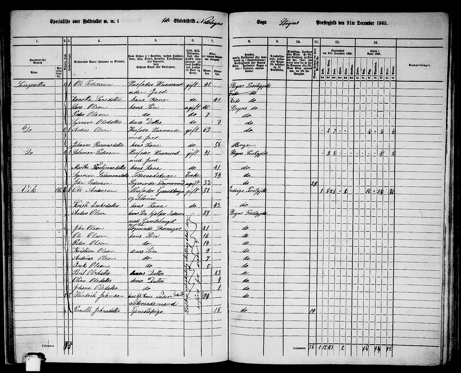 RA, 1865 census for Stryn, 1865, p. 55