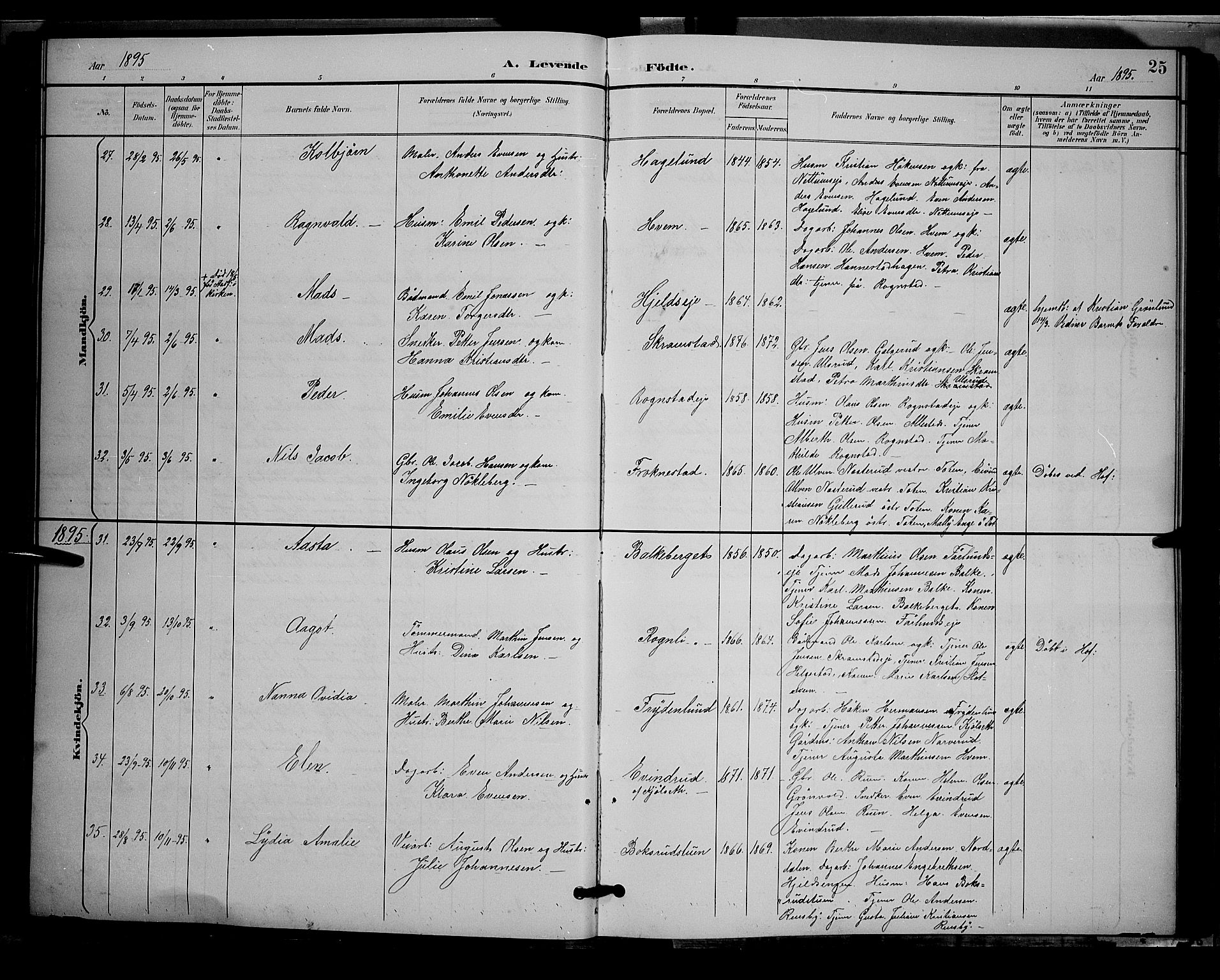 Østre Toten prestekontor, AV/SAH-PREST-104/H/Ha/Hab/L0006: Parish register (copy) no. 6, 1893-1901, p. 25