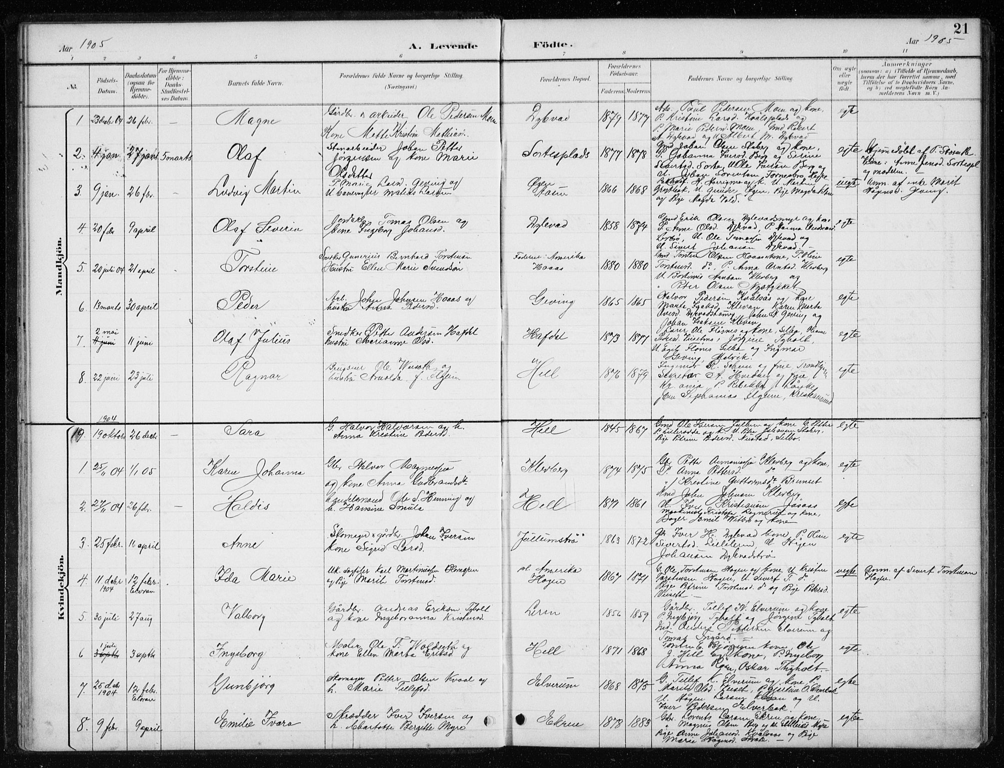 Ministerialprotokoller, klokkerbøker og fødselsregistre - Nord-Trøndelag, AV/SAT-A-1458/710/L0096: Parish register (copy) no. 710C01, 1892-1925, p. 21
