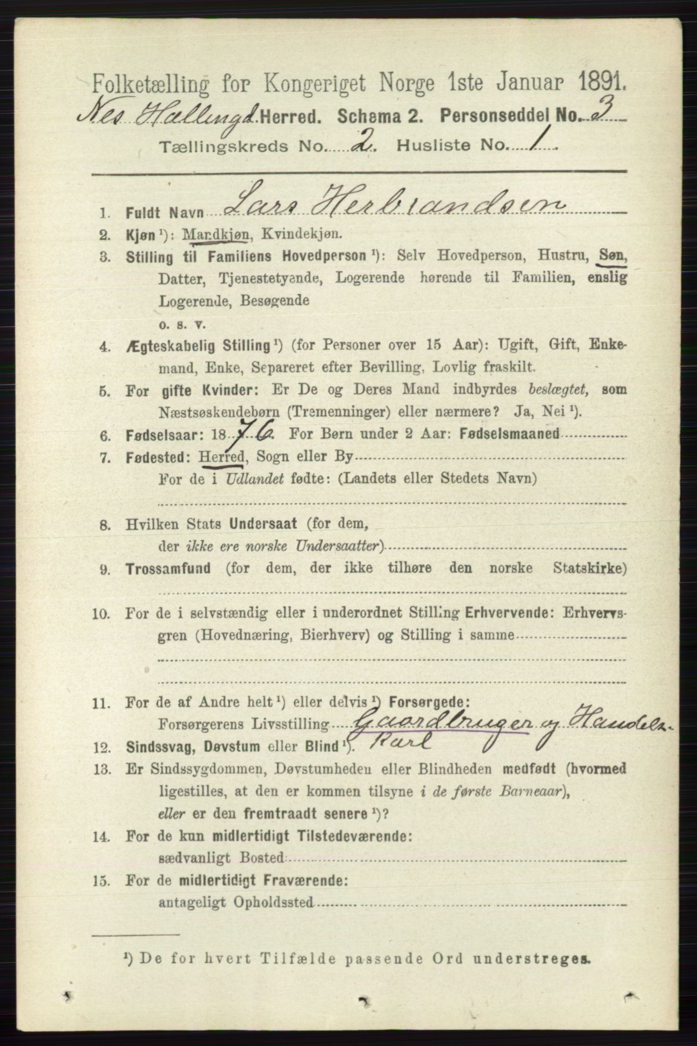 RA, 1891 census for 0616 Nes, 1891, p. 993