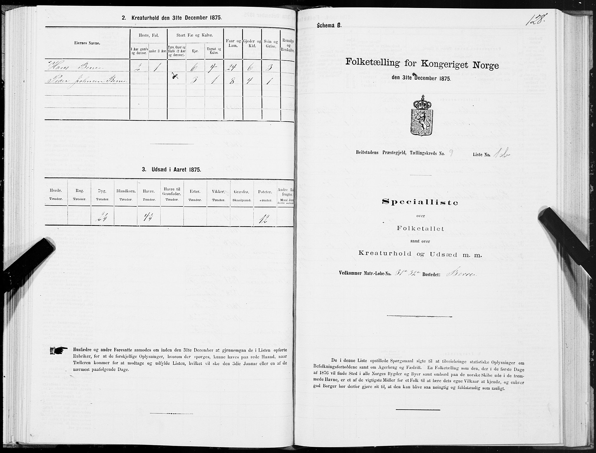 SAT, 1875 census for 1727P Beitstad, 1875, p. 6128