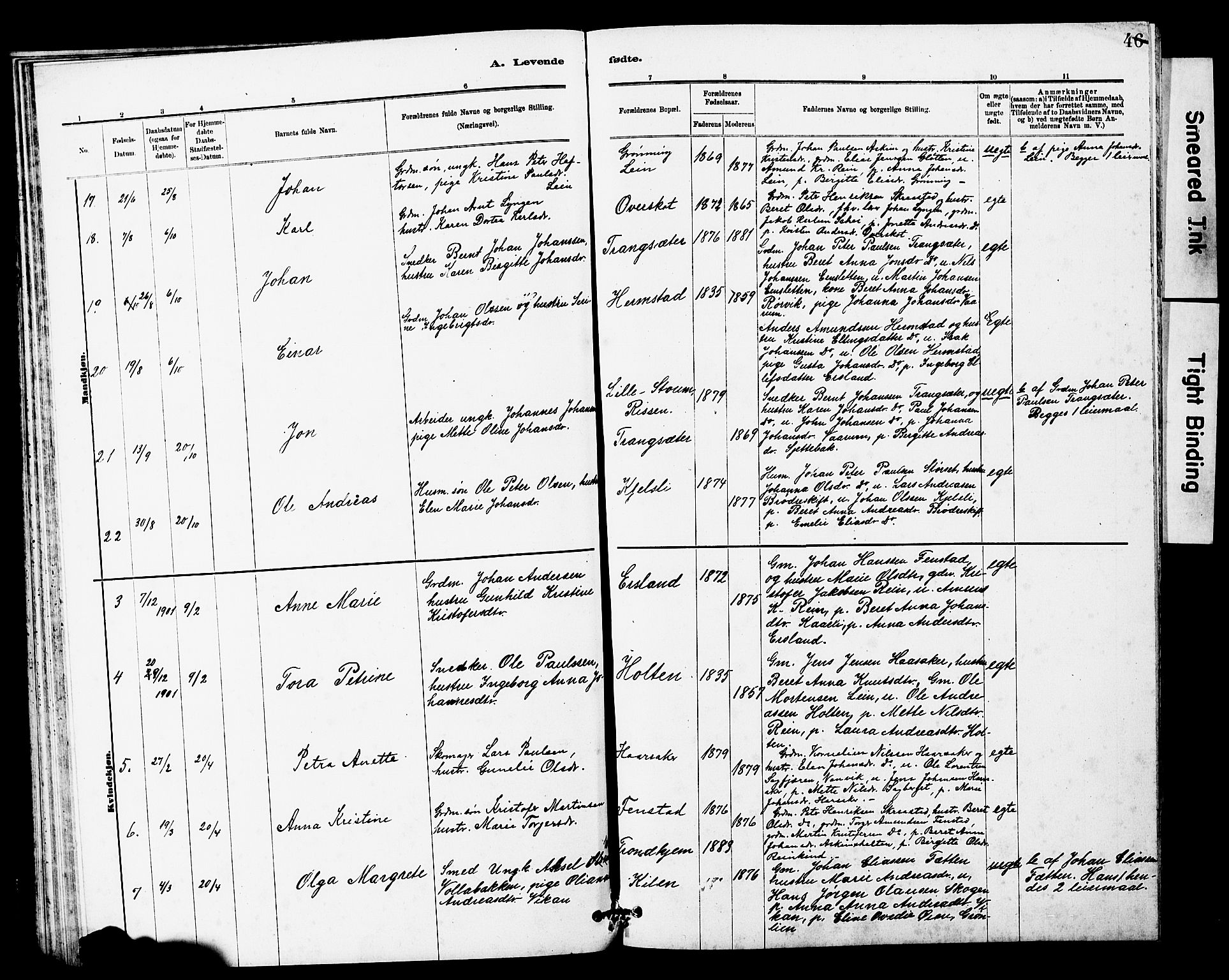 Ministerialprotokoller, klokkerbøker og fødselsregistre - Sør-Trøndelag, SAT/A-1456/646/L0628: Parish register (copy) no. 646C01, 1880-1903, p. 46