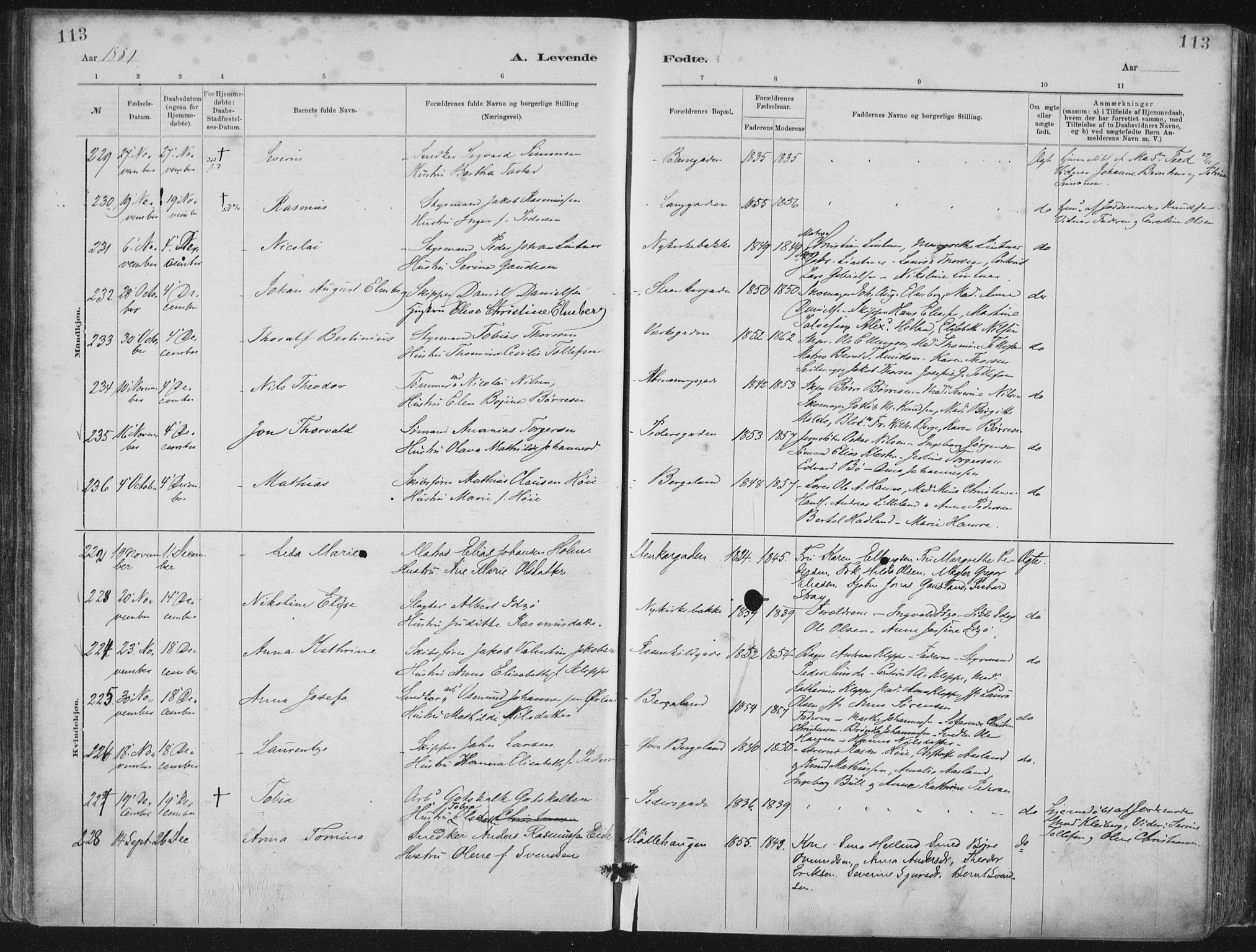 St. Petri sokneprestkontor, AV/SAST-A-101813/001/30/30BA/L0015: Parish register (official) no. A 15, 1879-1888, p. 113