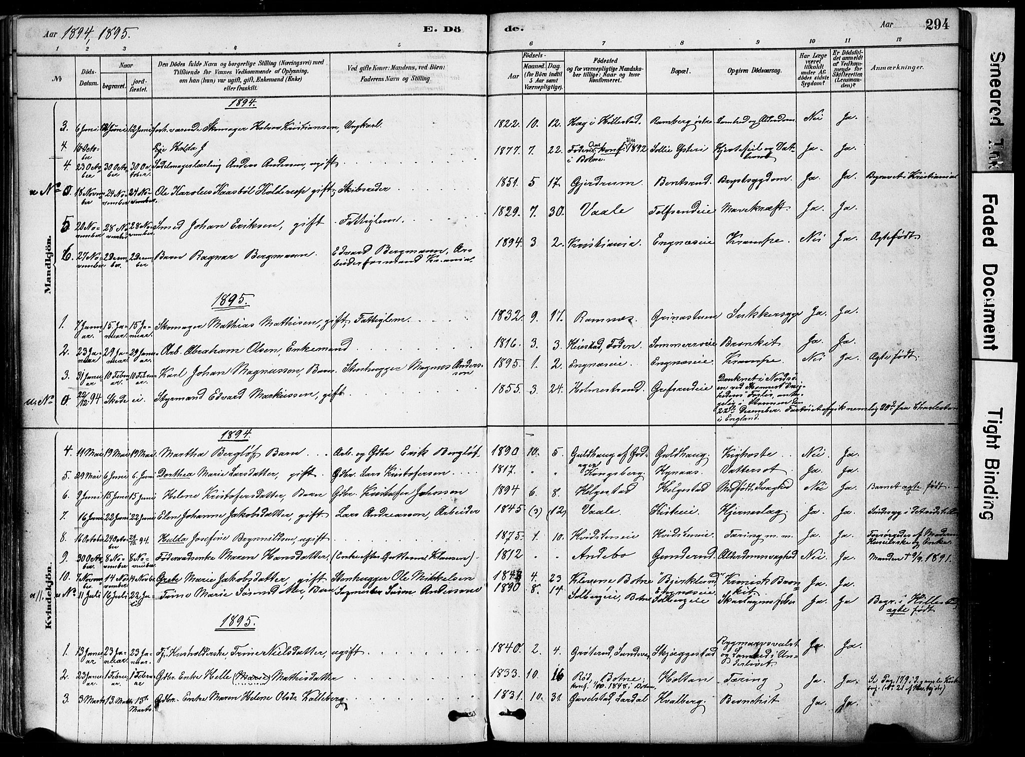 Botne kirkebøker, AV/SAKO-A-340/F/Fa/L0007: Parish register (official) no. I 7, 1878-1910, p. 294