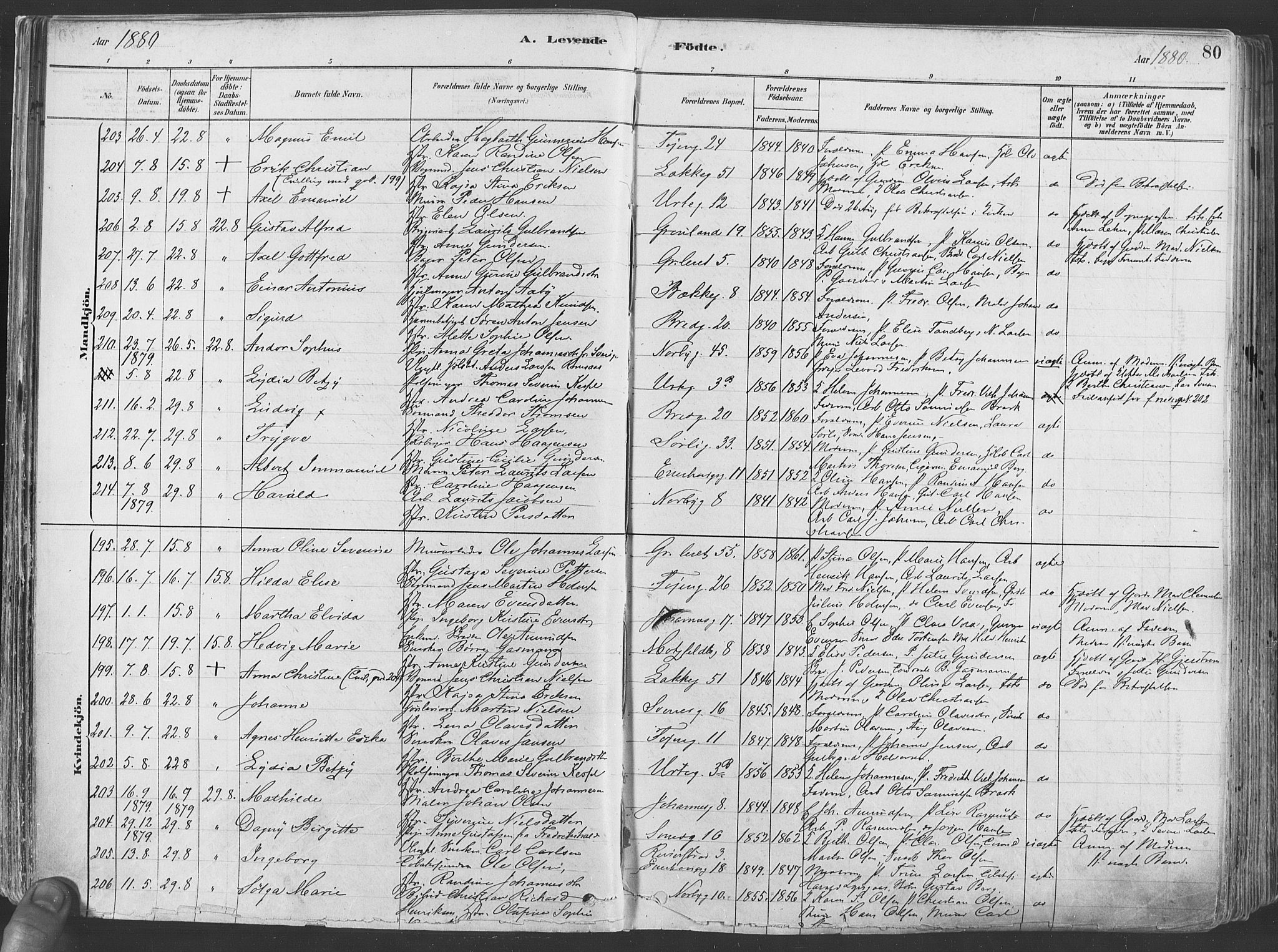 Grønland prestekontor Kirkebøker, AV/SAO-A-10848/F/Fa/L0007: Parish register (official) no. 7, 1878-1888, p. 80