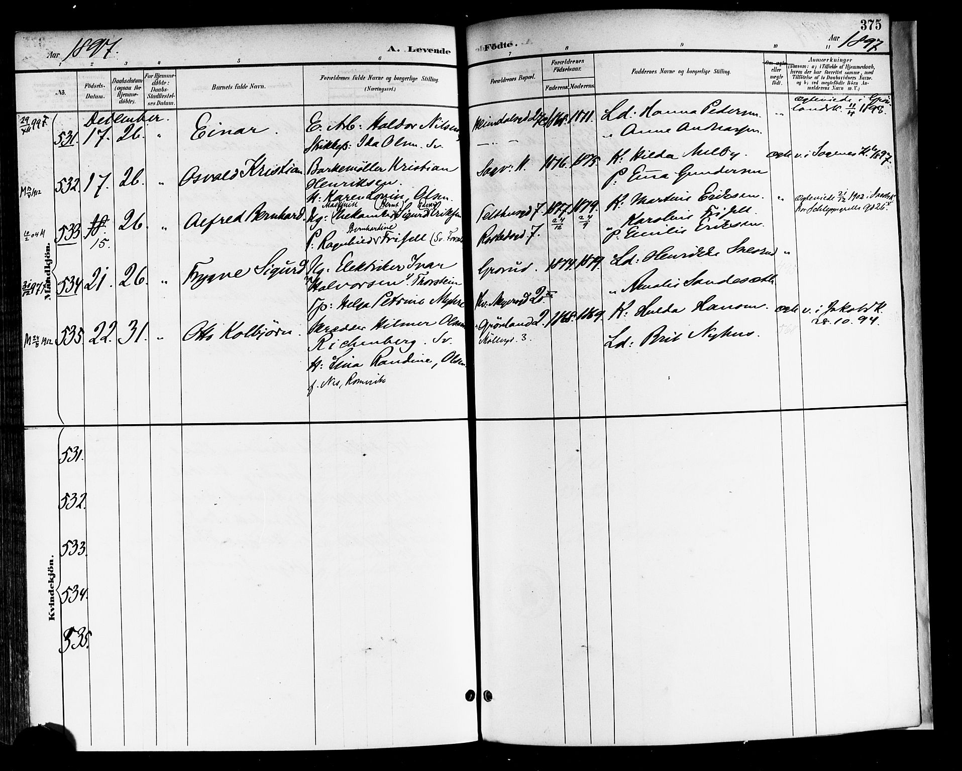 Rikshospitalet prestekontor Kirkebøker, AV/SAO-A-10309b/F/L0009: Parish register (official) no. 9, 1894-1897, p. 375