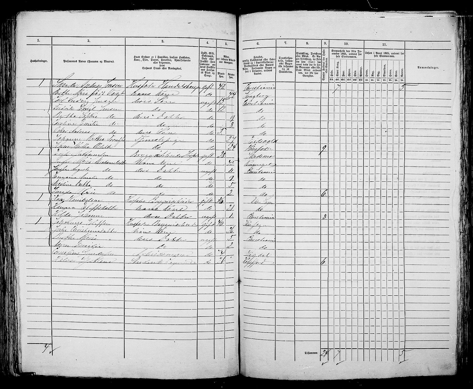 RA, 1865 census for Kristiania, 1865, p. 5216