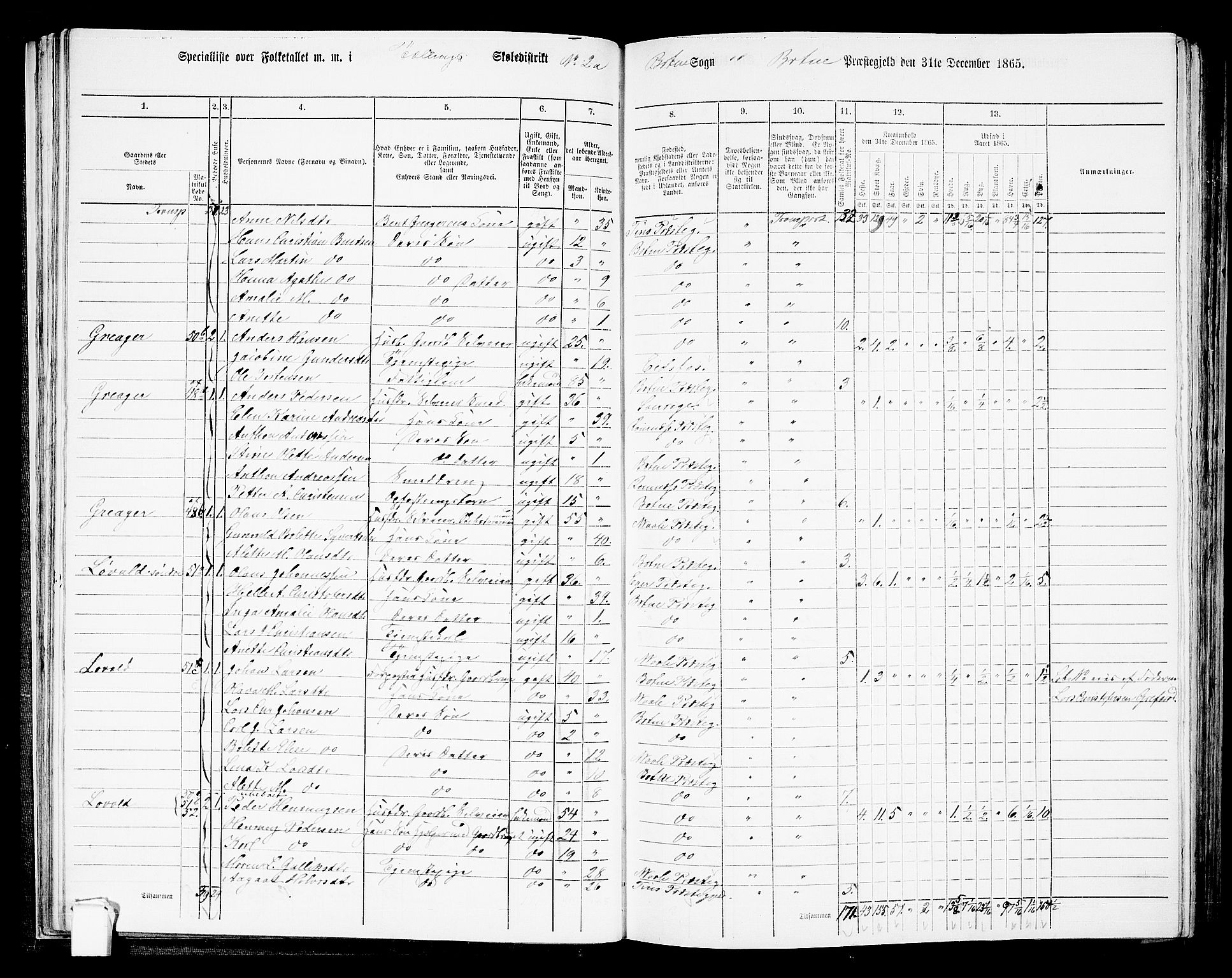 RA, 1865 census for Botne/Botne og Hillestad, 1865, p. 38